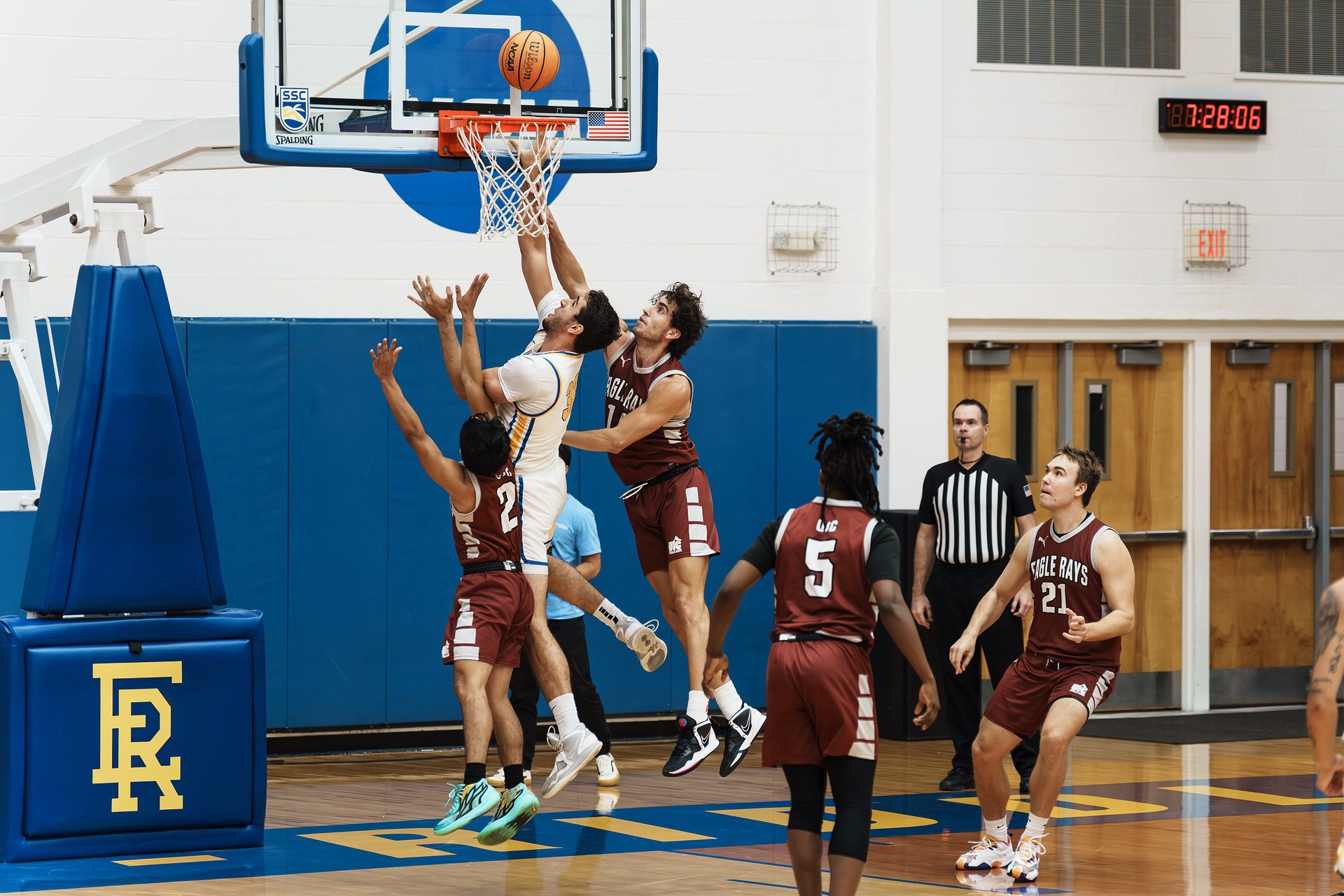 DSC05372-Enhanced-NR.jpg_compressed