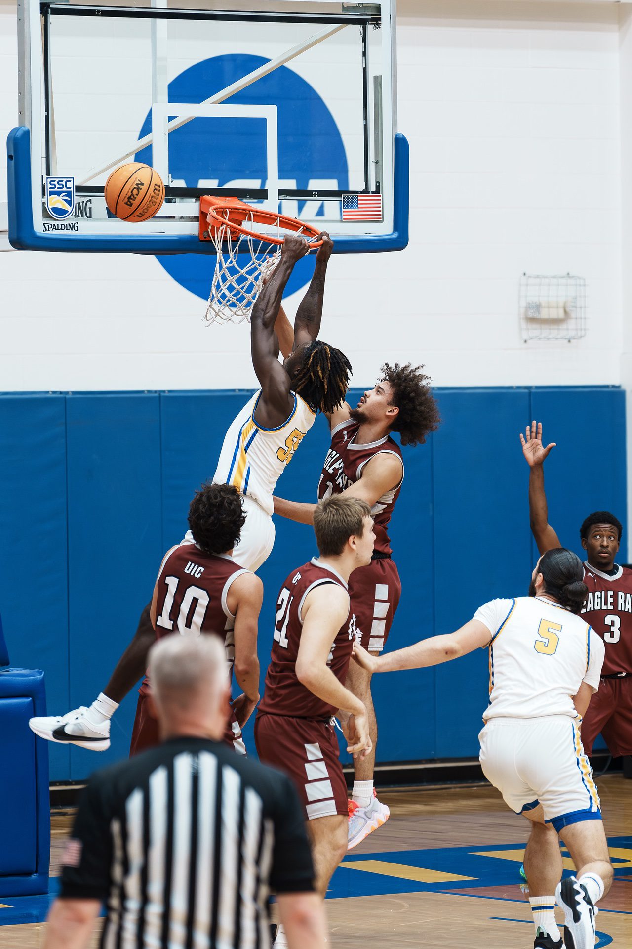 DSC05531-Enhanced-NR-2.jpg_compressed