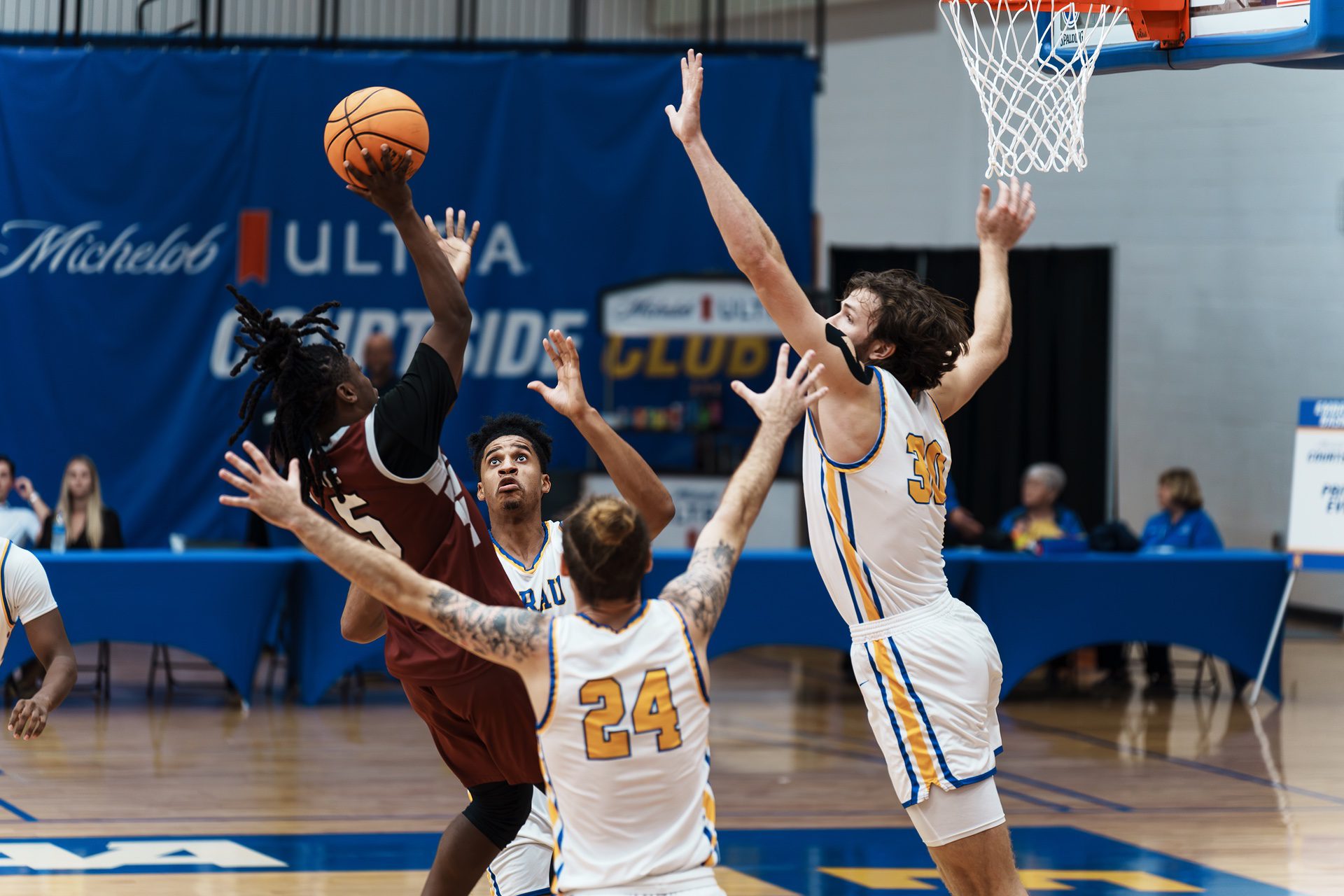 DSC05587-Enhanced-NR.jpg_compressed