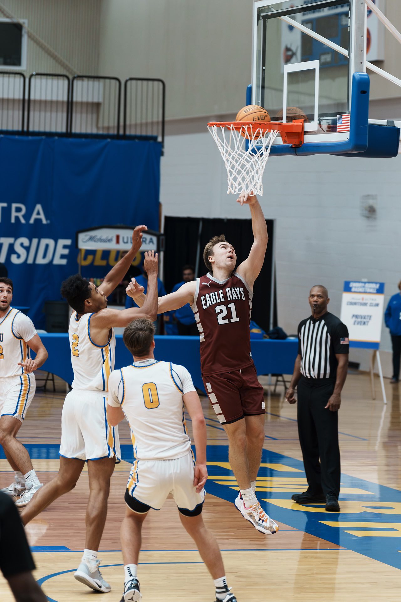 DSC05708-Enhanced-NR.jpg_compressed