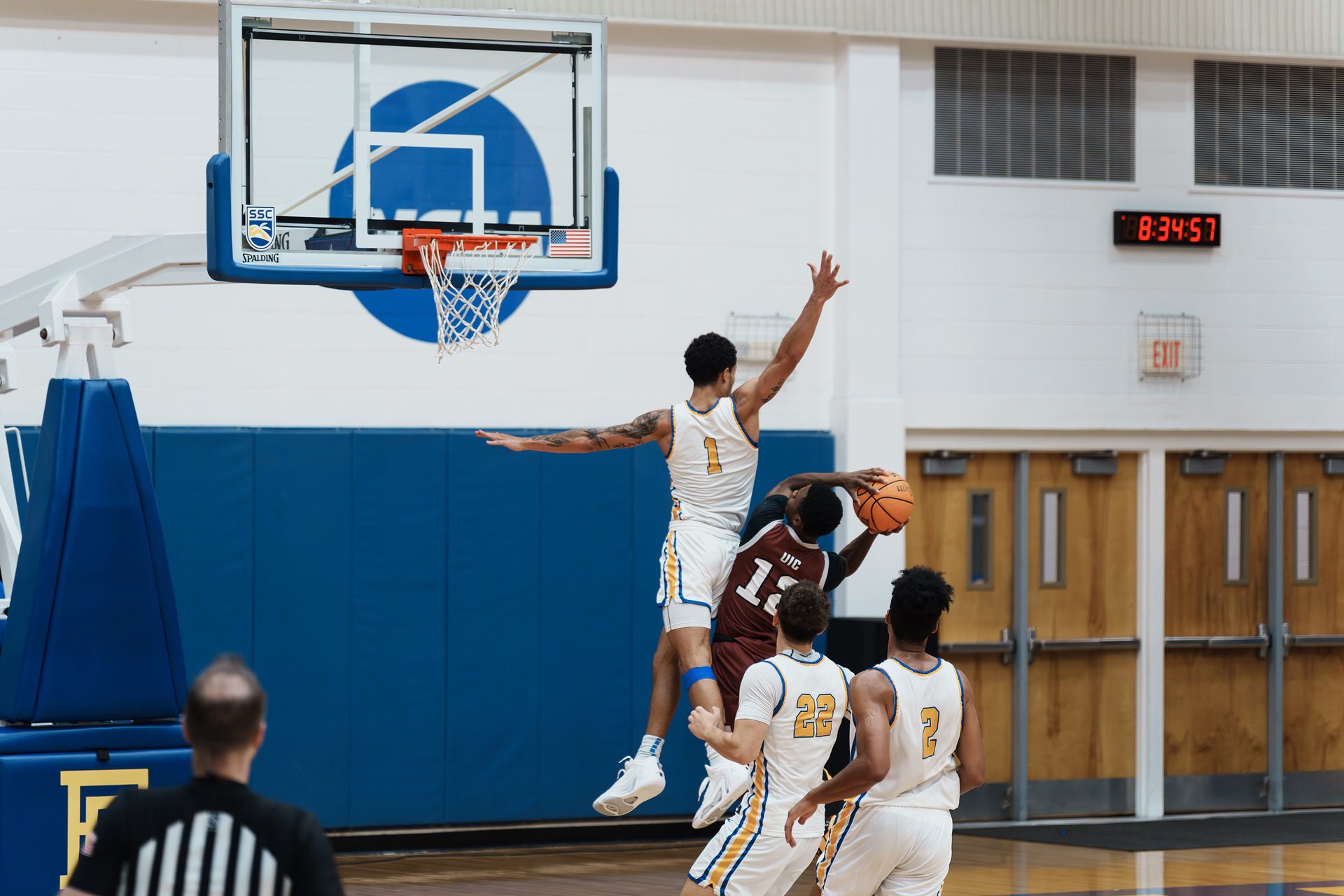 DSC05890-Enhanced-NR.jpg_compressed