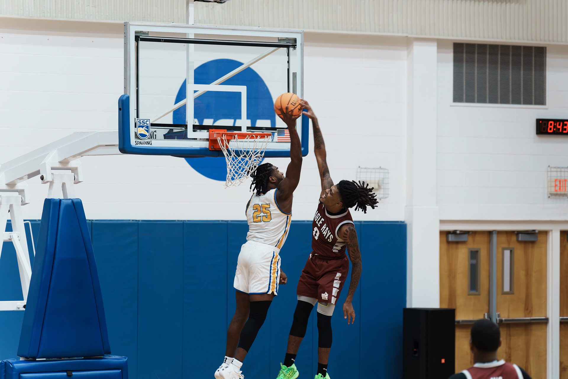 DSC05953-Enhanced-NR.jpg_compressed