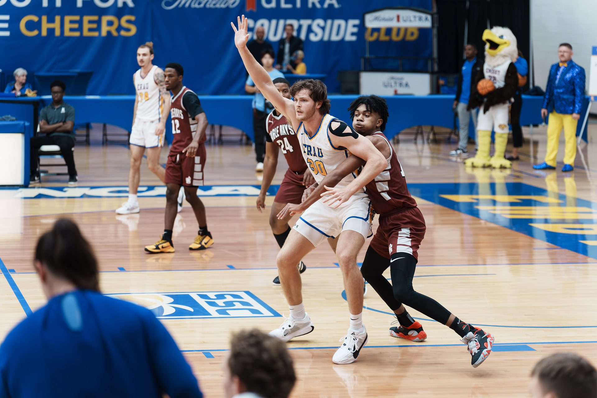 DSC05982-Enhanced-NR.jpg_compressed