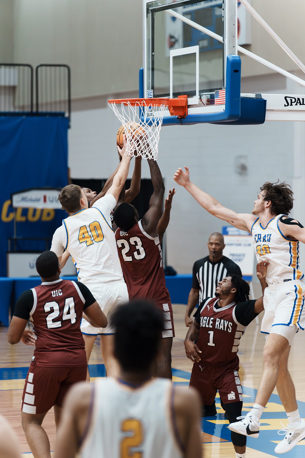 DSC06032-Enhanced-NR.jpg_compressed