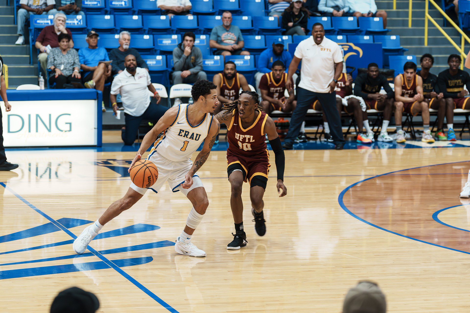 DSC06230-Enhanced-NR.jpg_compressed