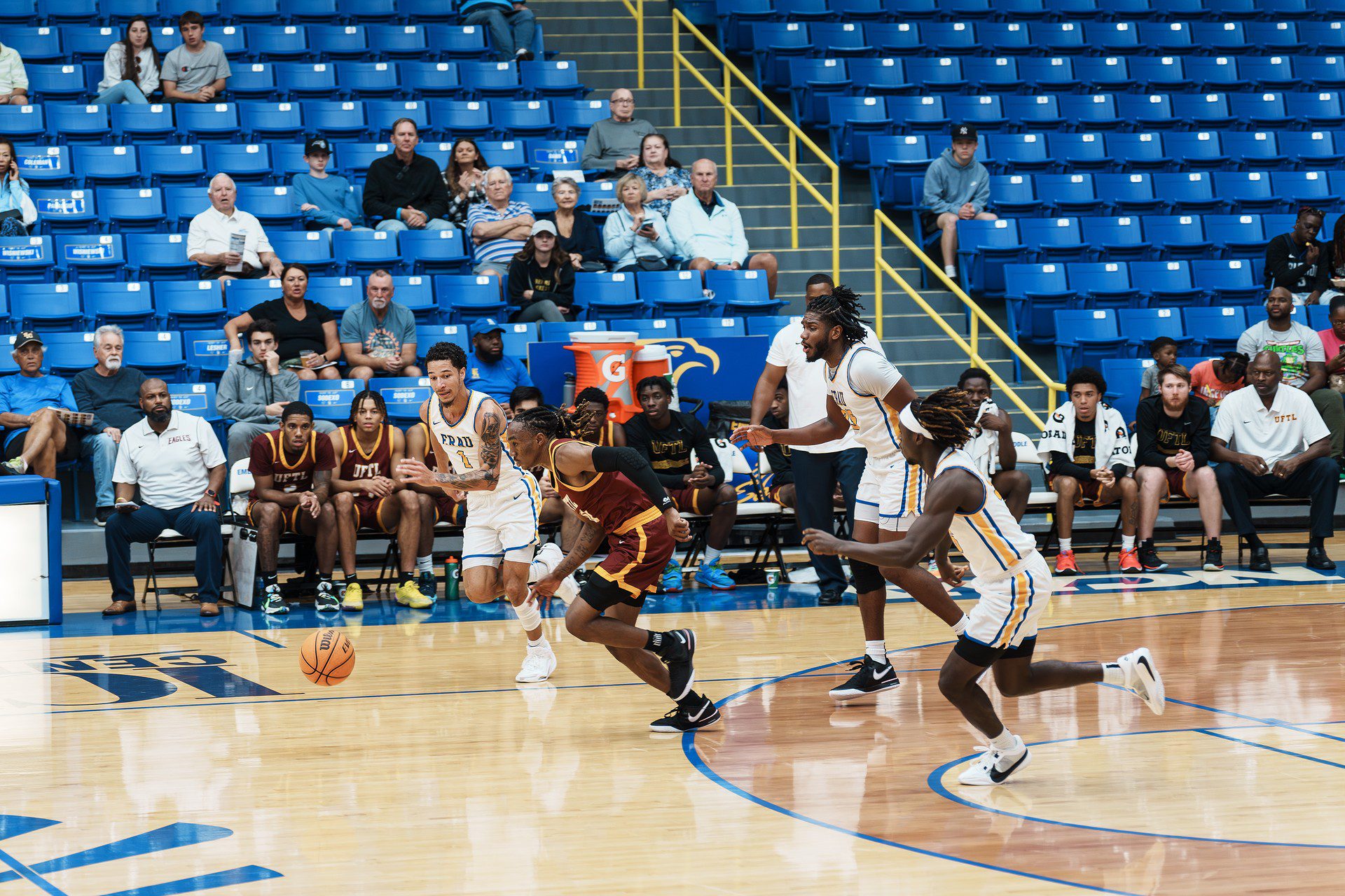 DSC06289-Enhanced-NR.jpg_compressed