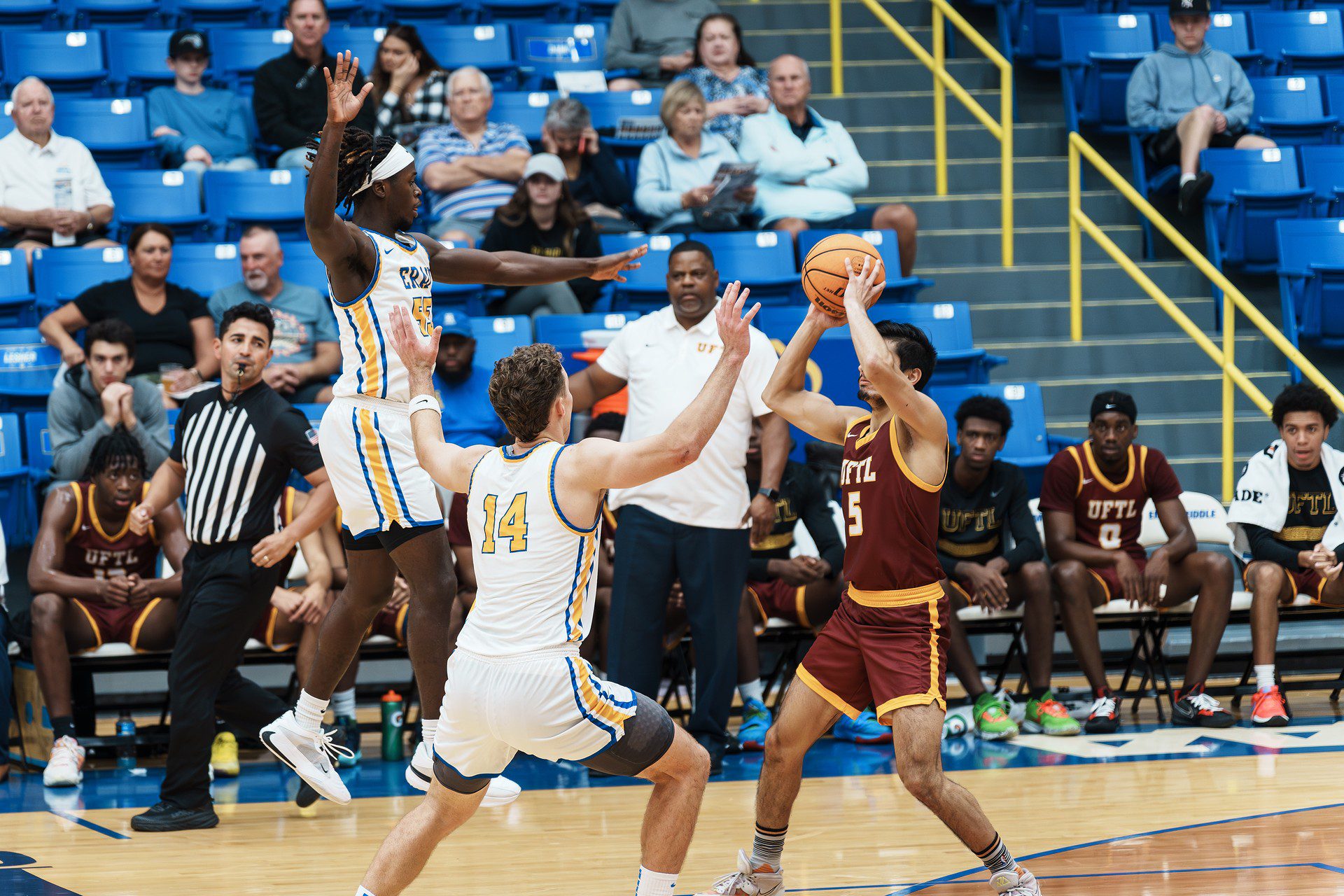 DSC06344-Enhanced-NR.jpg_compressed