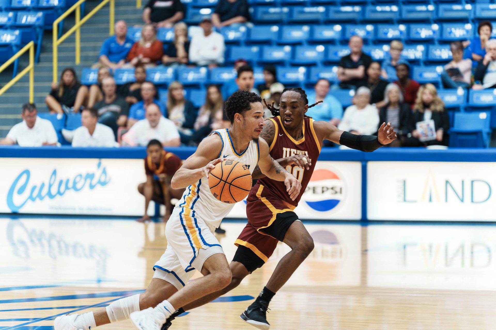 DSC06404-Enhanced-NR.jpg_compressed