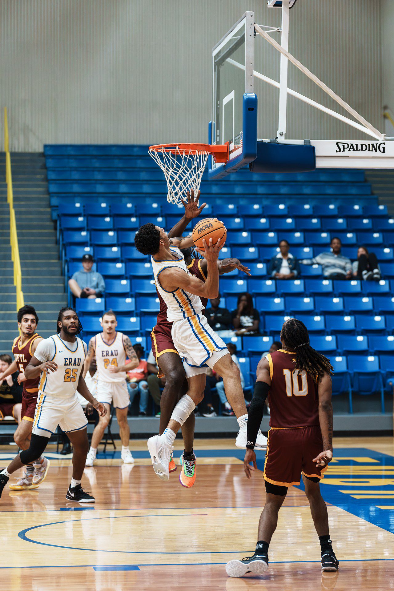 DSC06407-Enhanced-NR.jpg_compressed