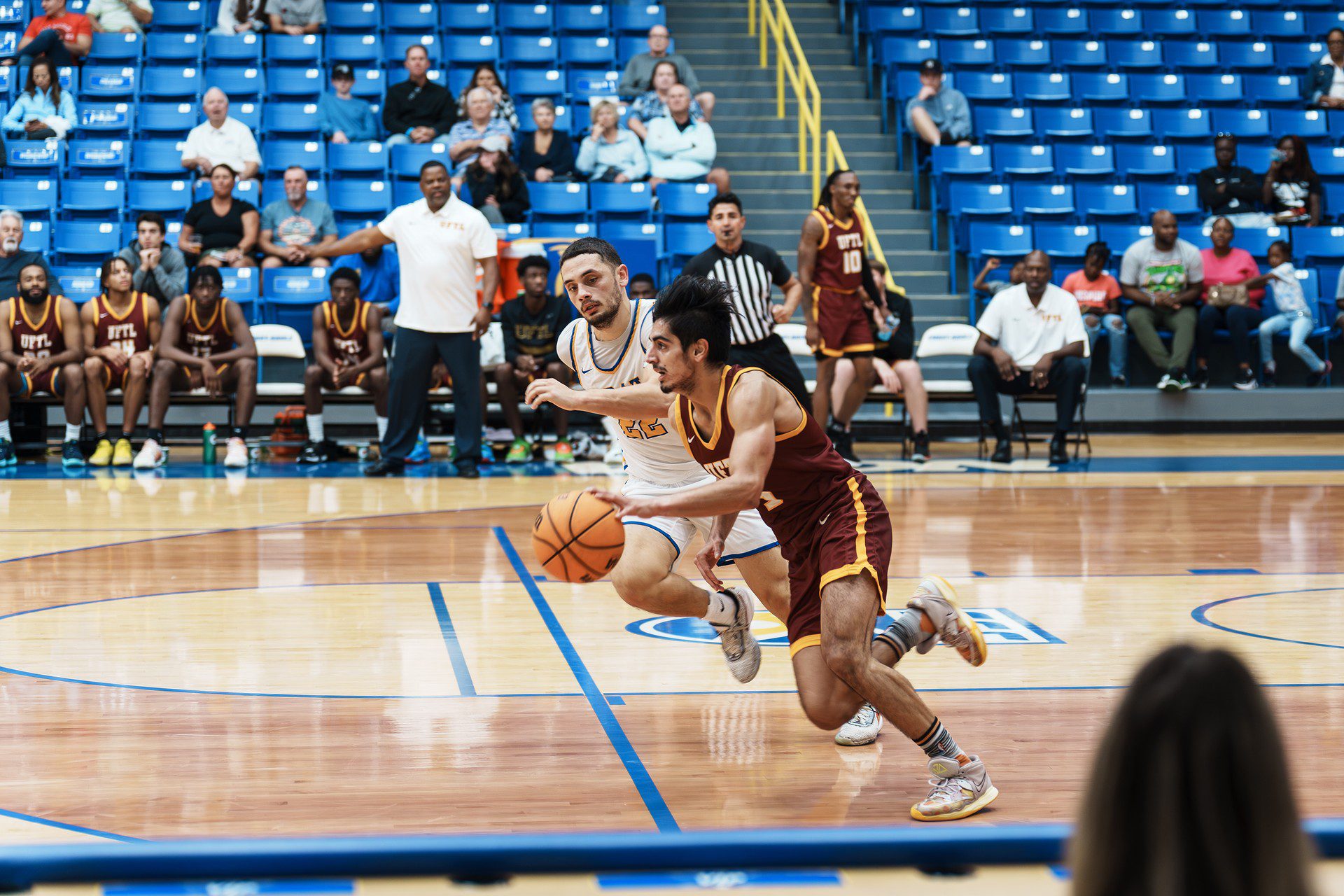 DSC06426-Enhanced-NR.jpg_compressed