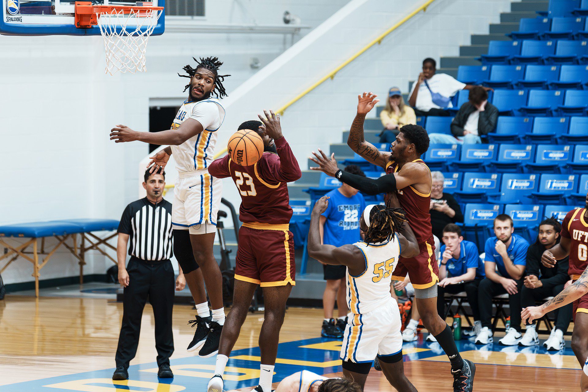 DSC06492-Enhanced-NR.jpg_compressed