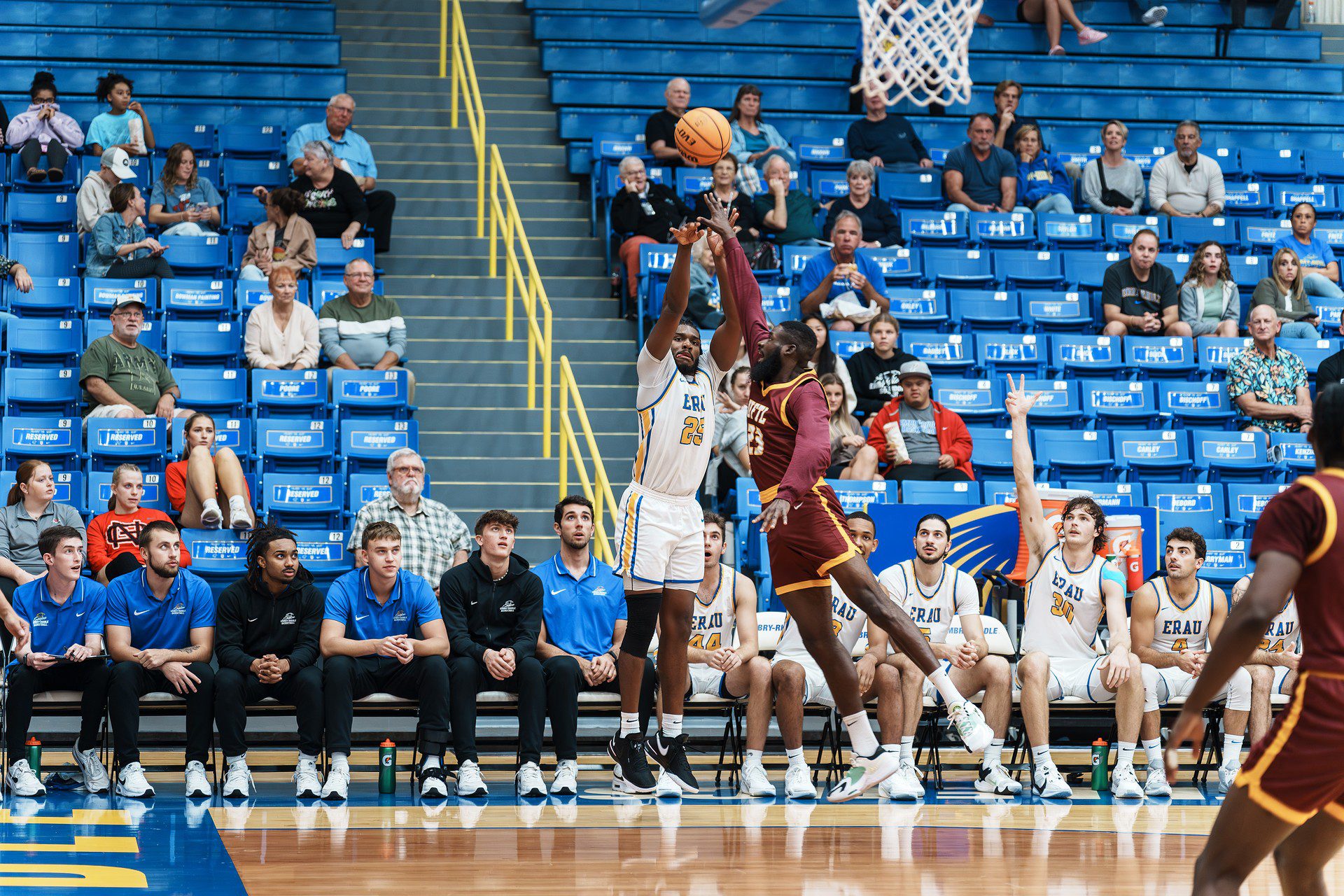 DSC06599-Enhanced-NR.jpg_compressed