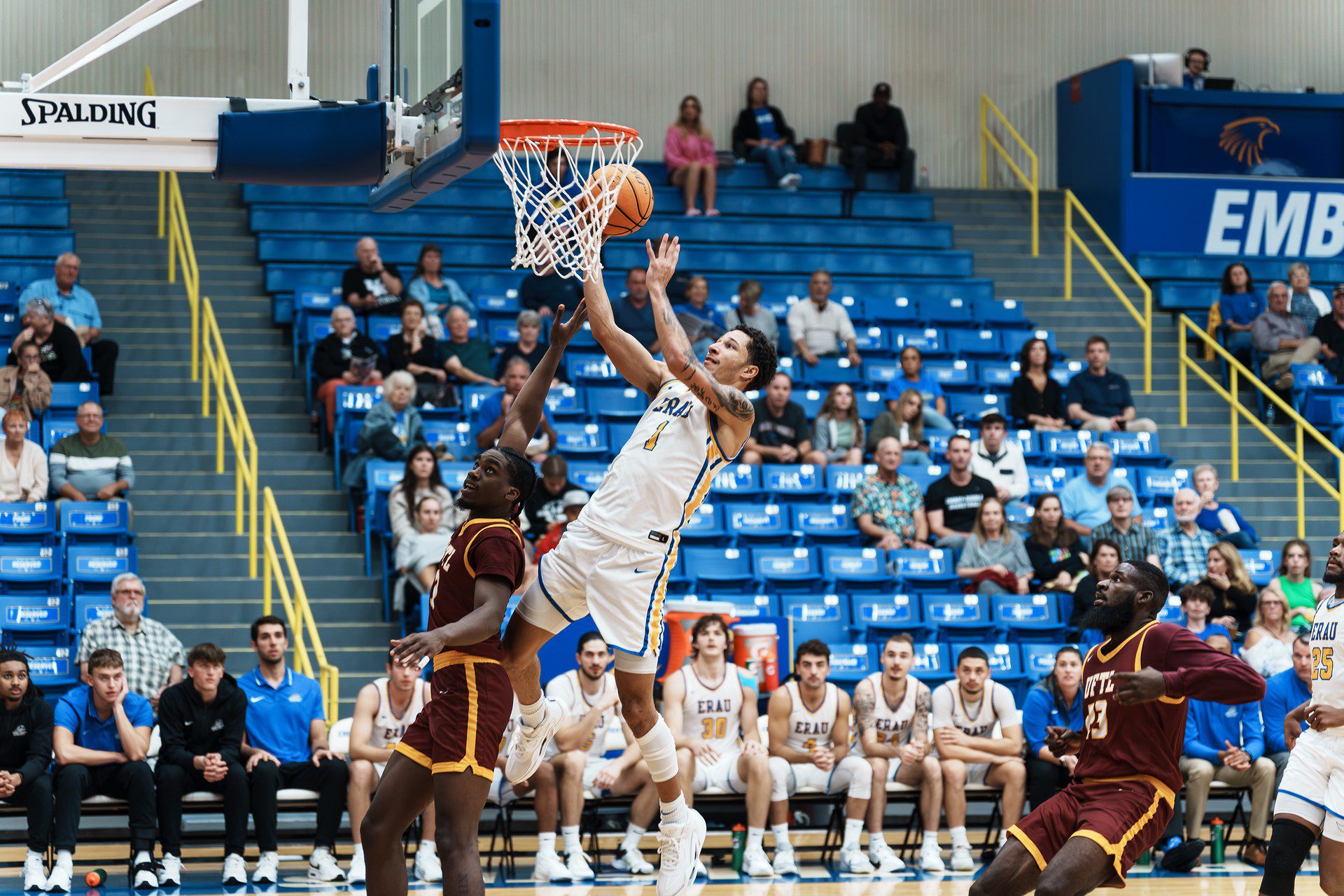 DSC06612-Enhanced-NR.jpg_compressed