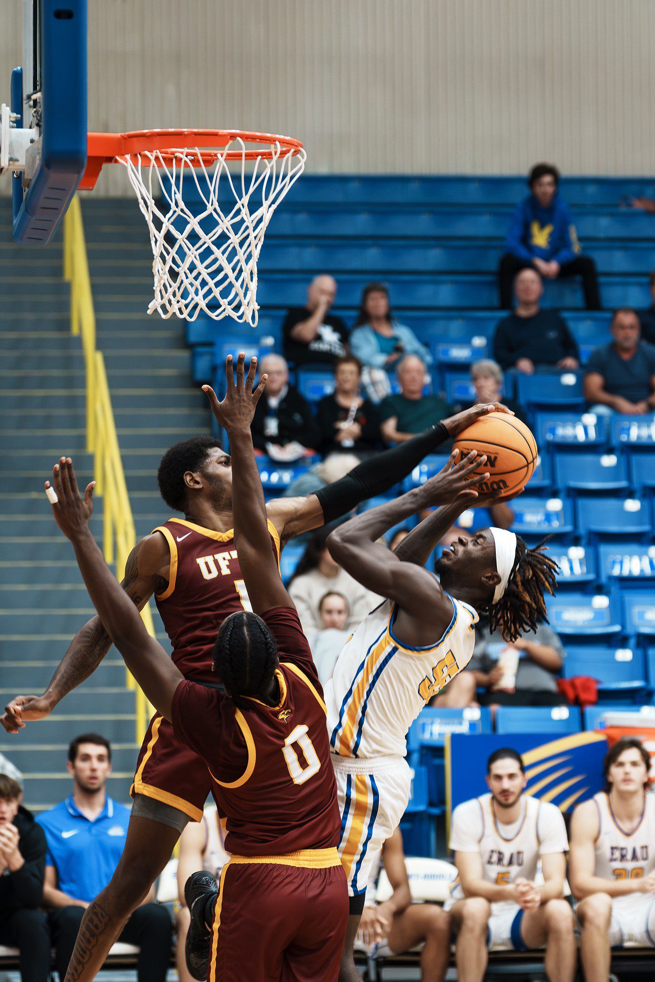 DSC06648-Enhanced-NR.jpg_compressed