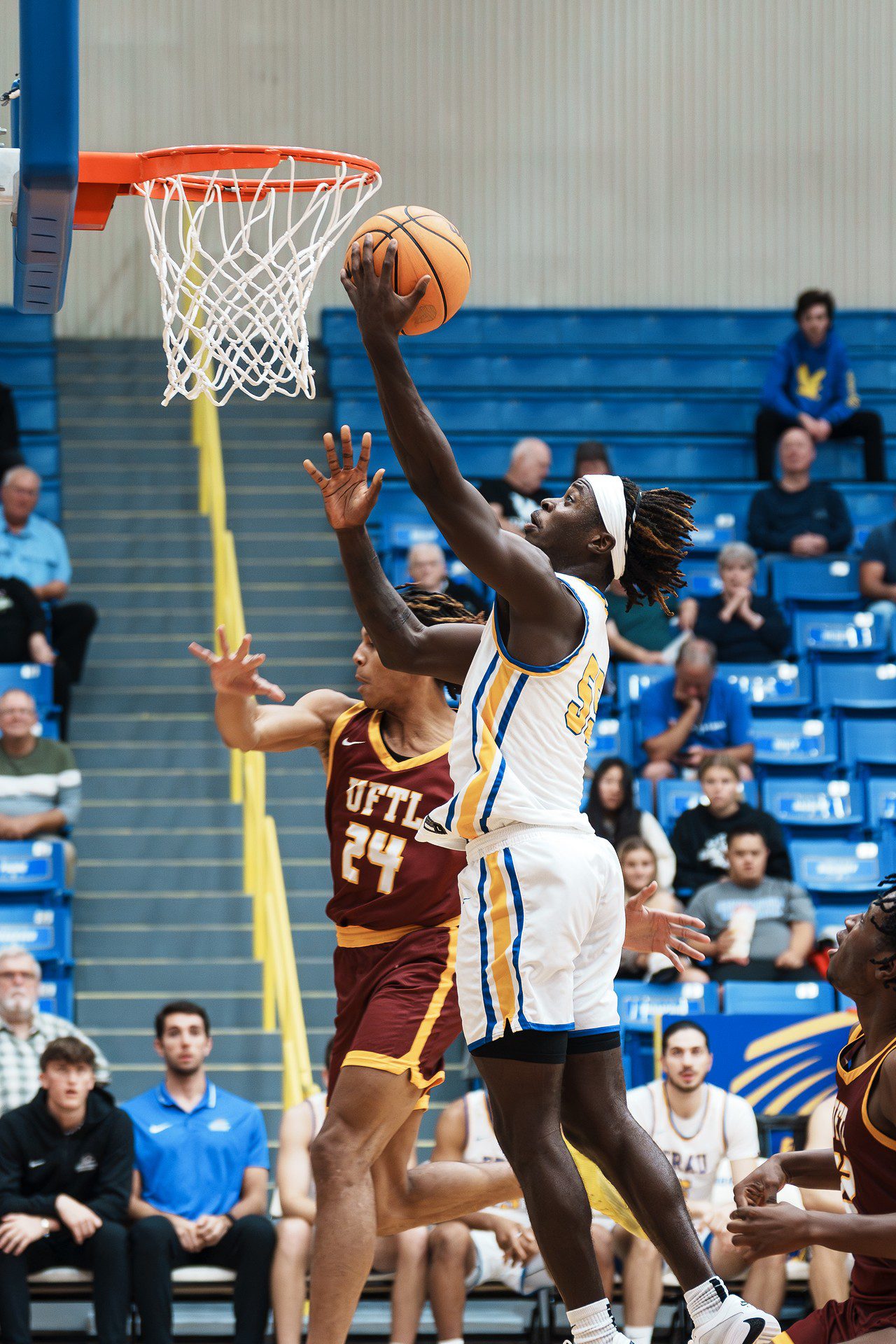 DSC06655-Enhanced-NR.jpg_compressed