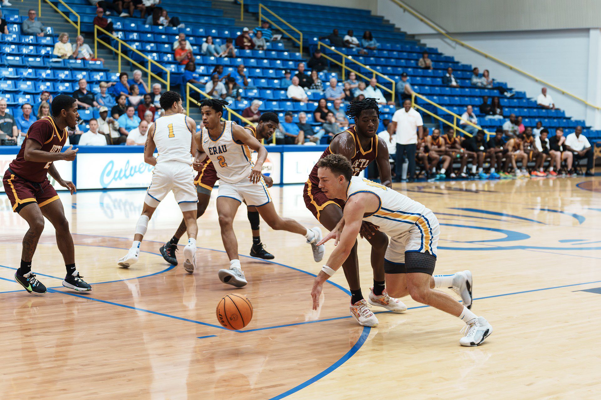 DSC06663-Enhanced-NR.jpg_compressed