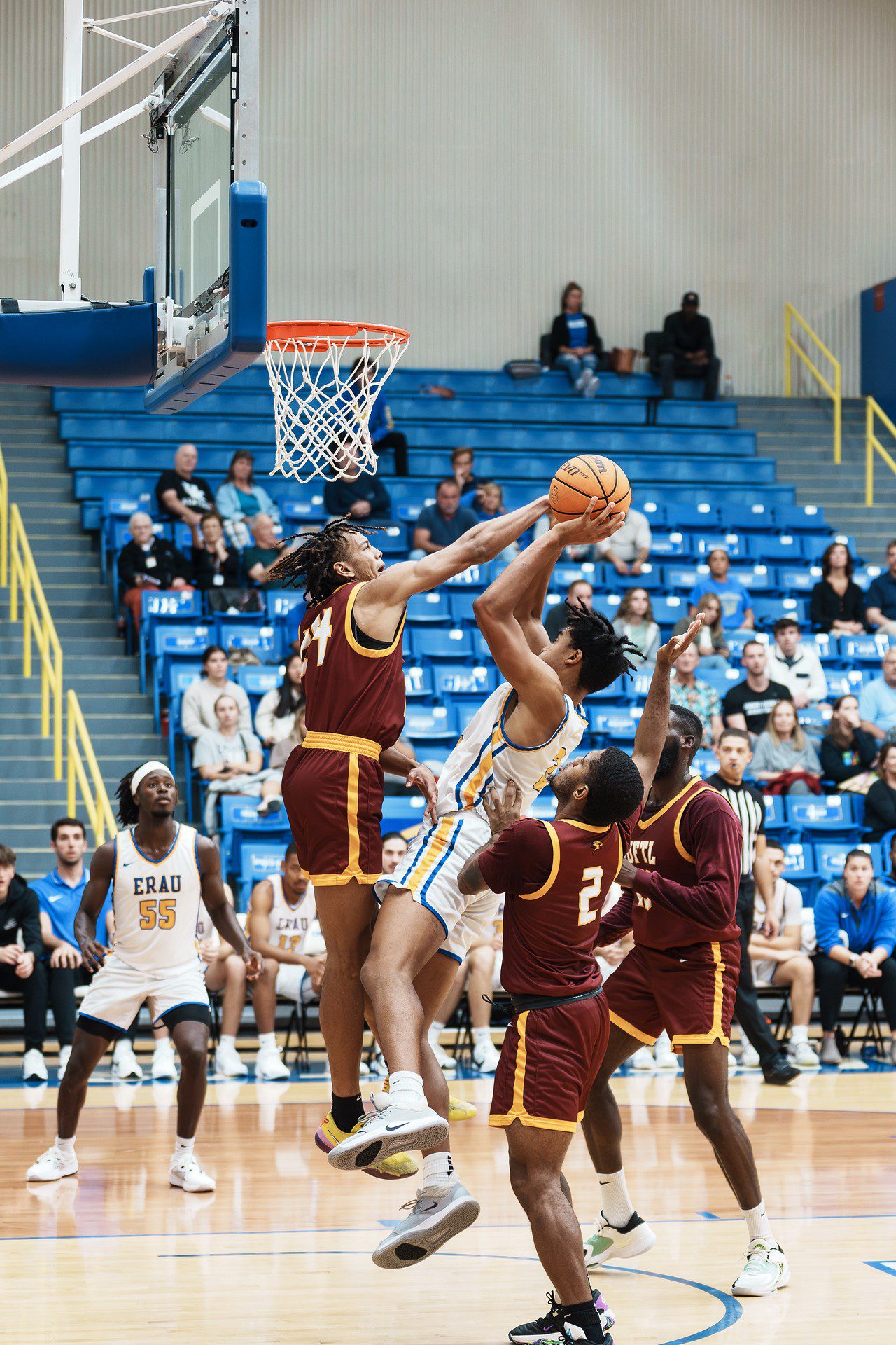 DSC06669-Enhanced-NR.jpg_compressed