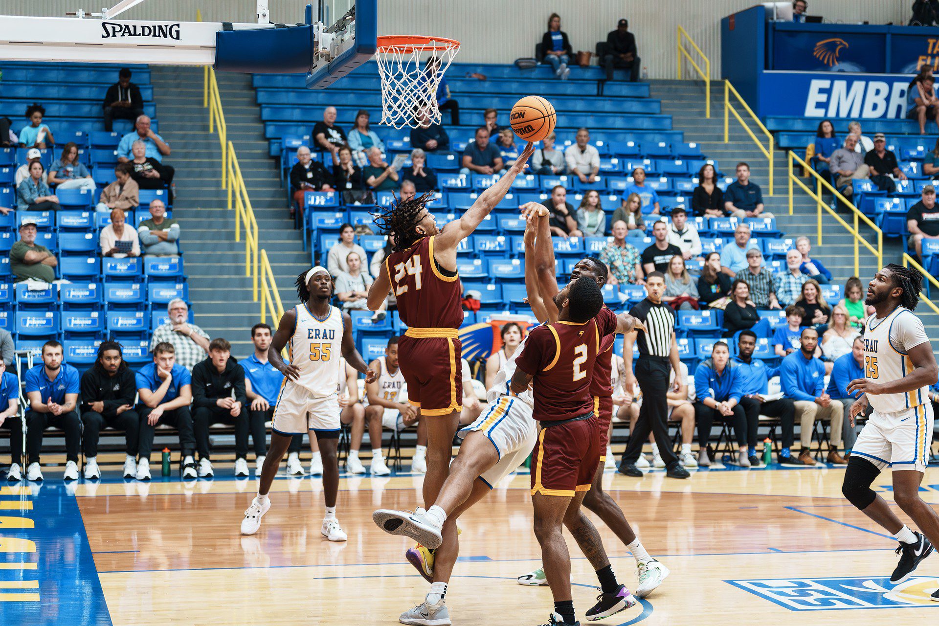 DSC06670-Enhanced-NR.jpg_compressed