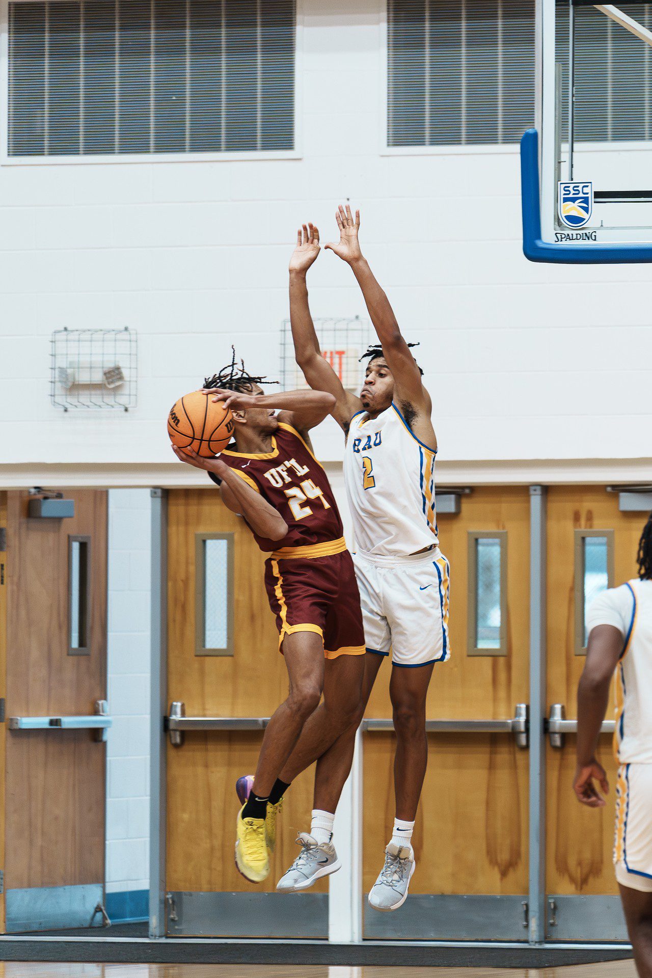 DSC06692-Enhanced-NR.jpg_compressed