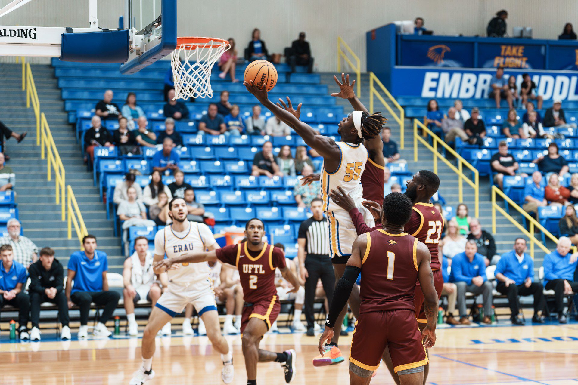 DSC06700-Enhanced-NR.jpg_compressed