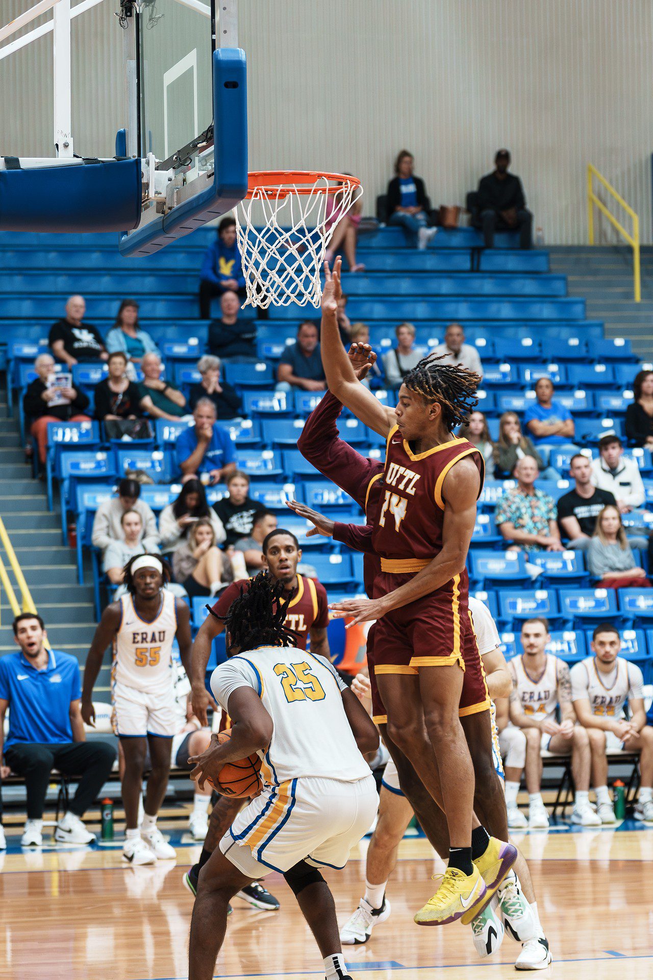 DSC06704-Enhanced-NR.jpg_compressed