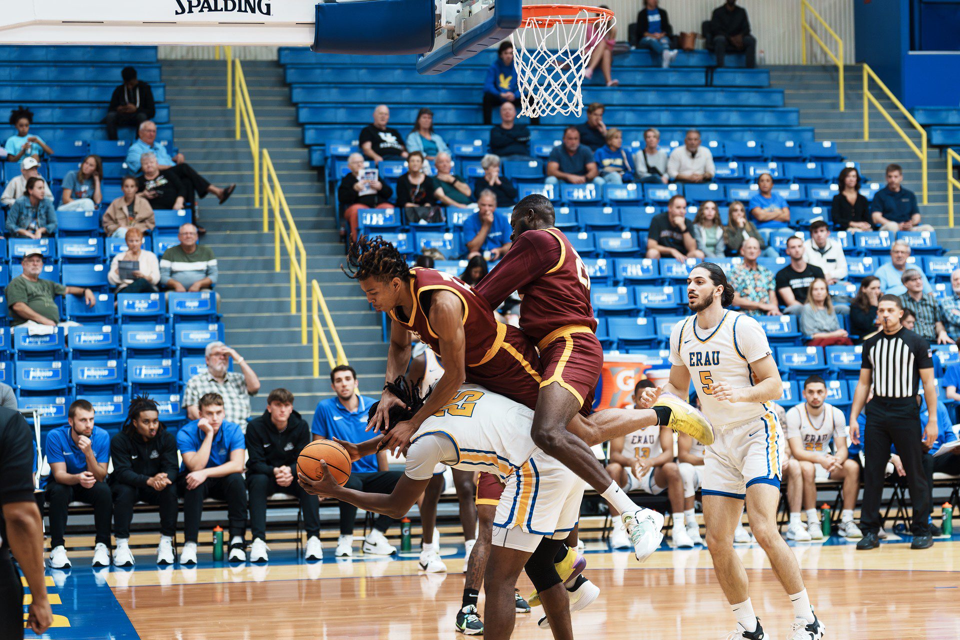 DSC06706-Enhanced-NR.jpg_compressed