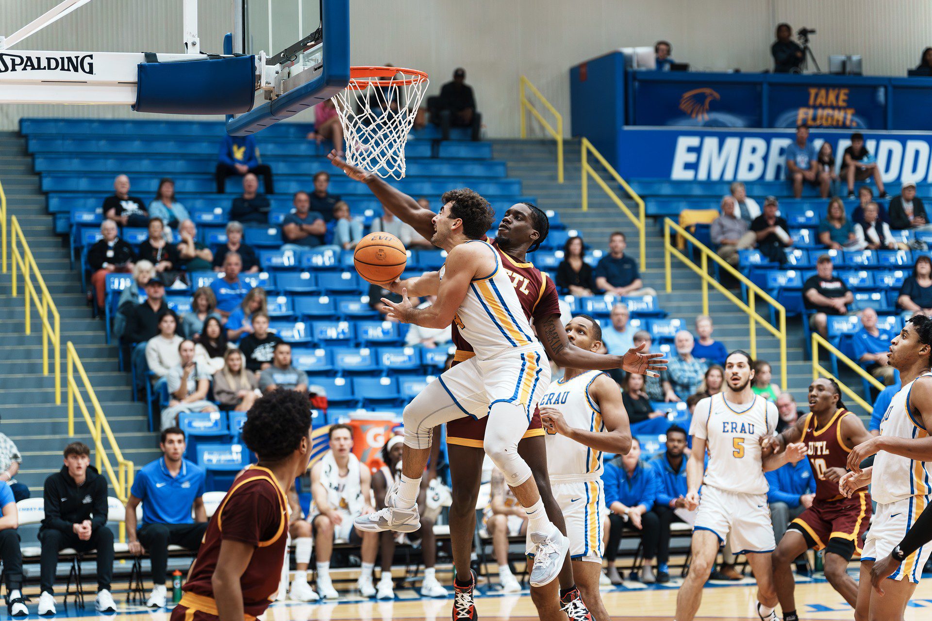 DSC06777-Enhanced-NR.jpg_compressed