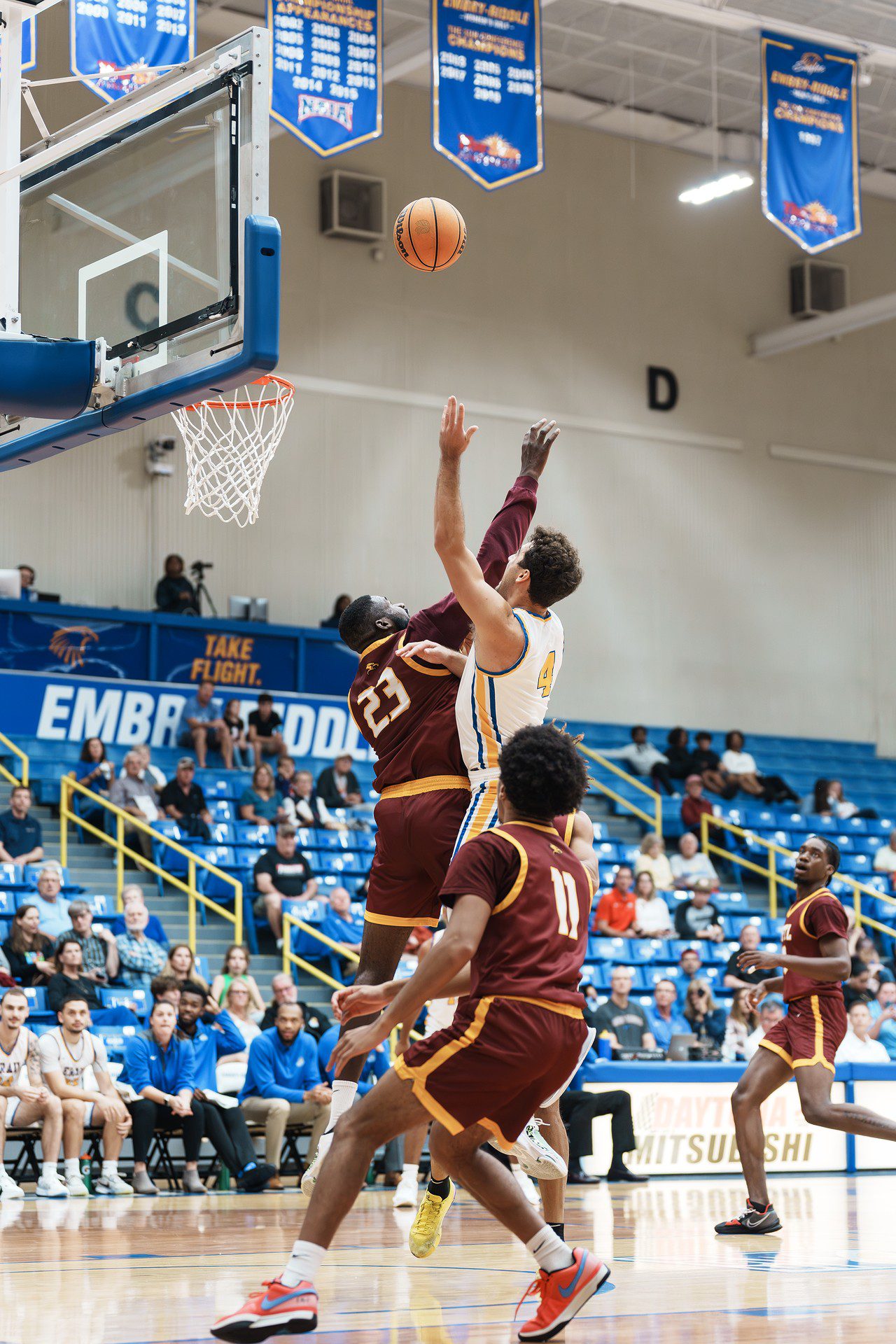 DSC06797-Enhanced-NR.jpg_compressed