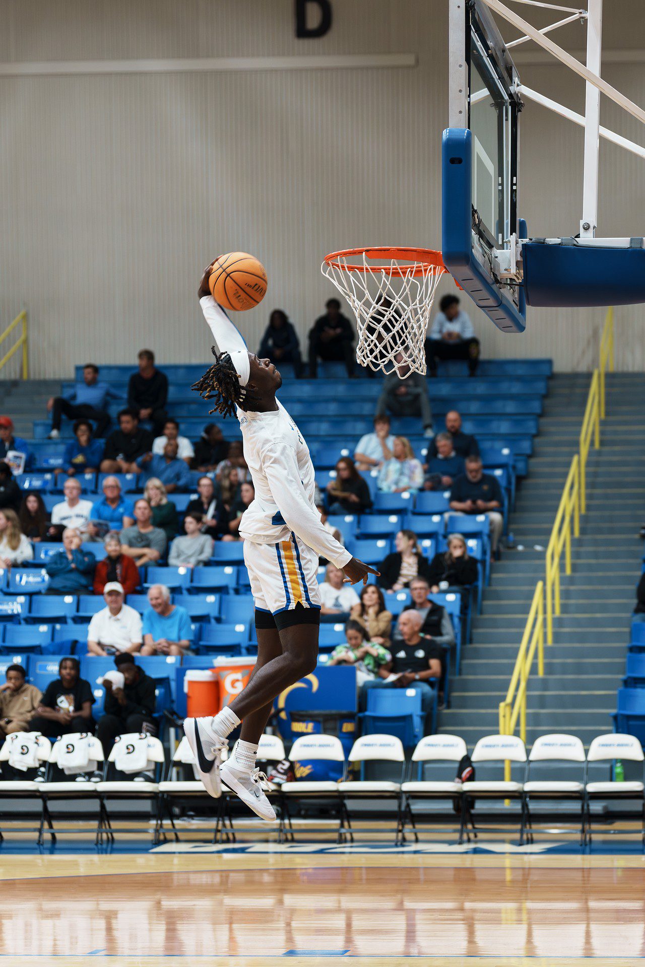 DSC06996-Enhanced-NR.jpg_compressed