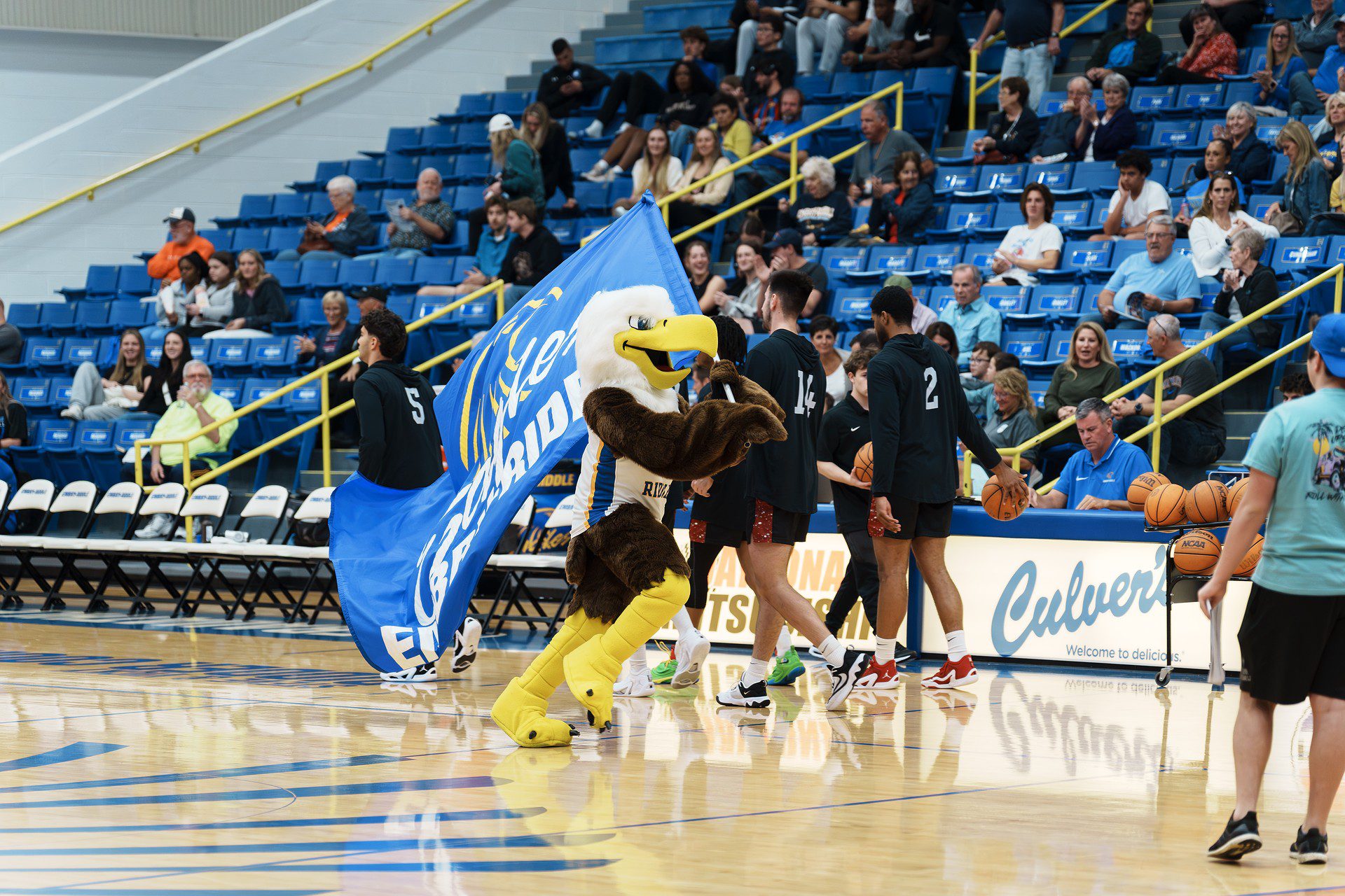 DSC07029-Enhanced-NR.jpg_compressed