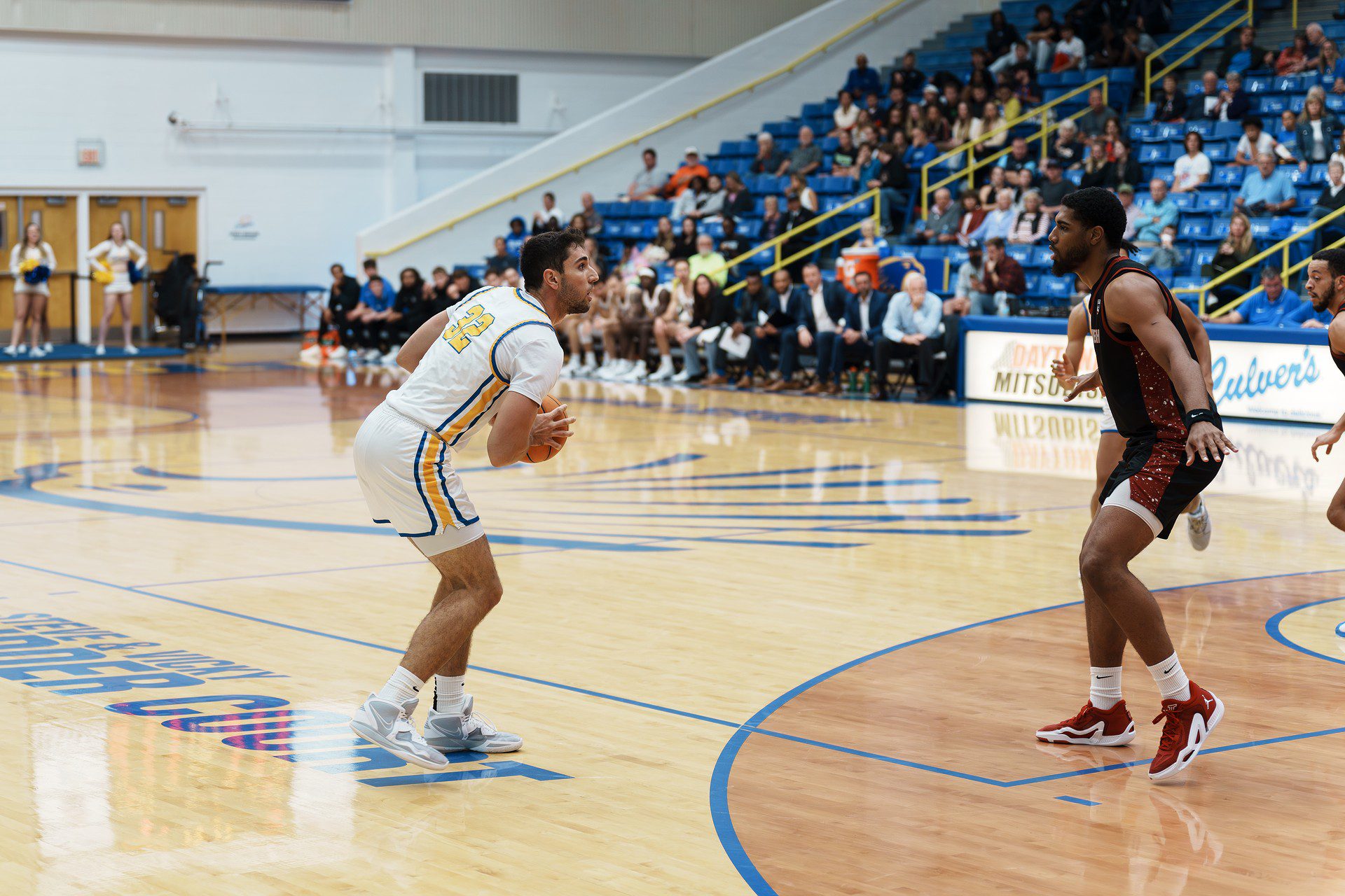 DSC07167-Enhanced-NR.jpg_compressed