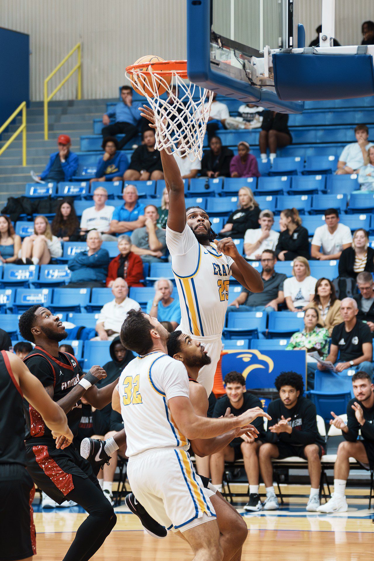 DSC07178-Enhanced-NR.jpg_compressed