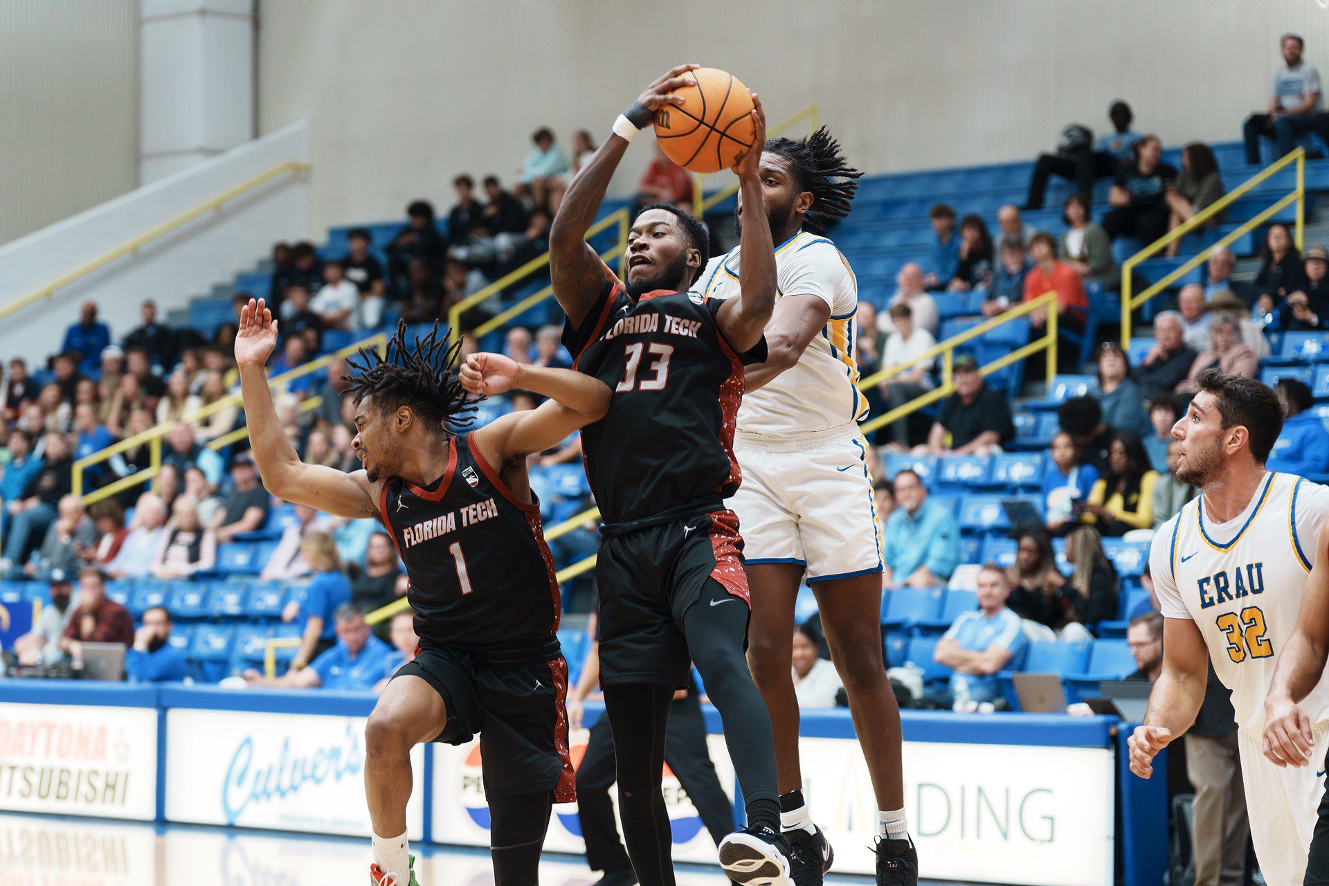 DSC07241-Enhanced-NR.jpg_compressed