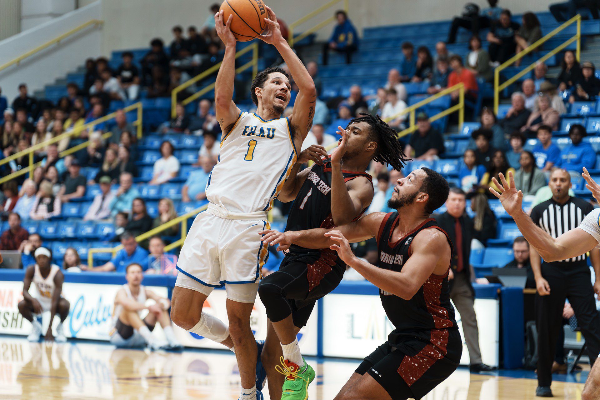 DSC07249-Enhanced-NR.jpg_compressed