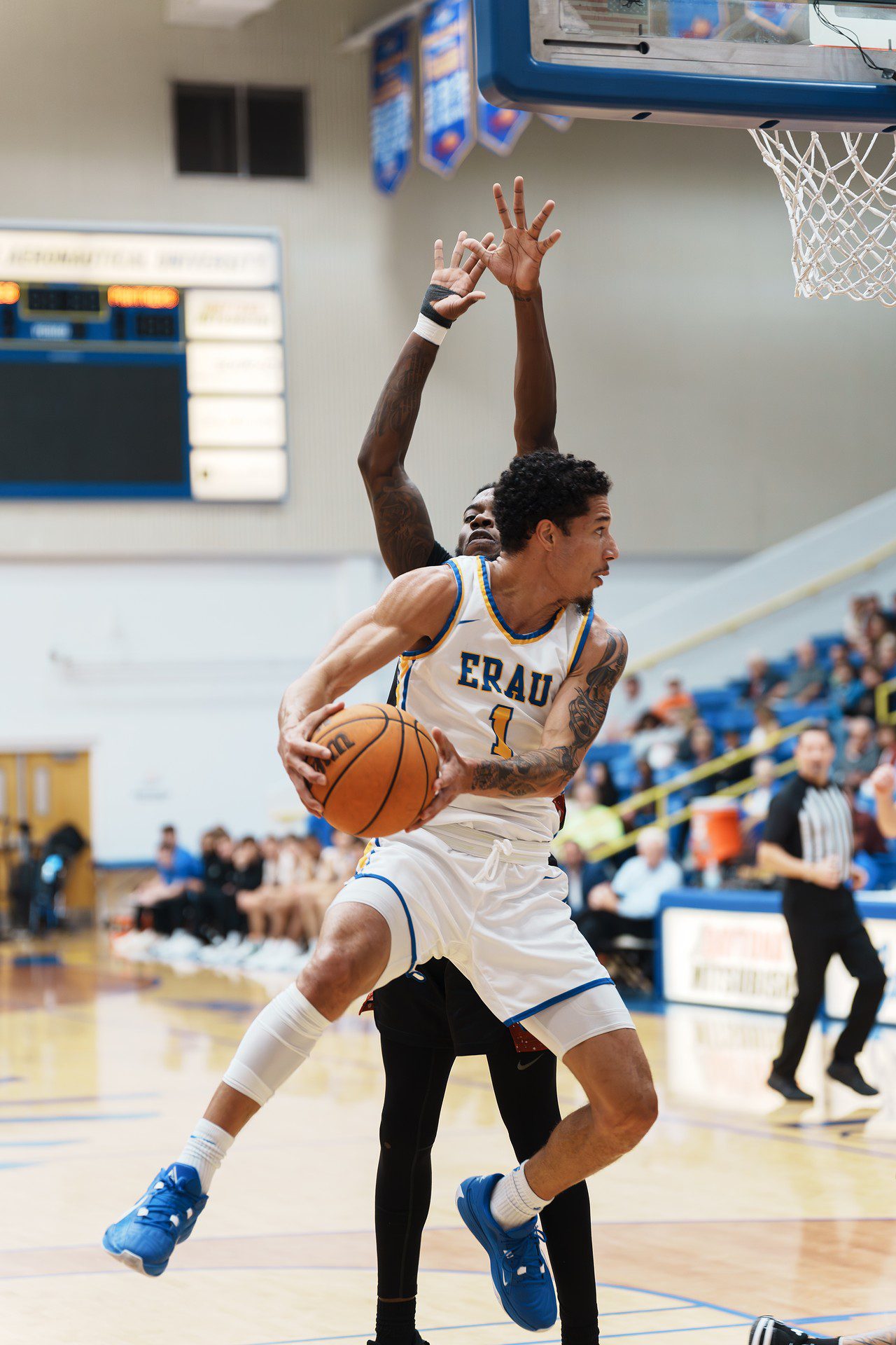 DSC07282-Enhanced-NR.jpg_compressed