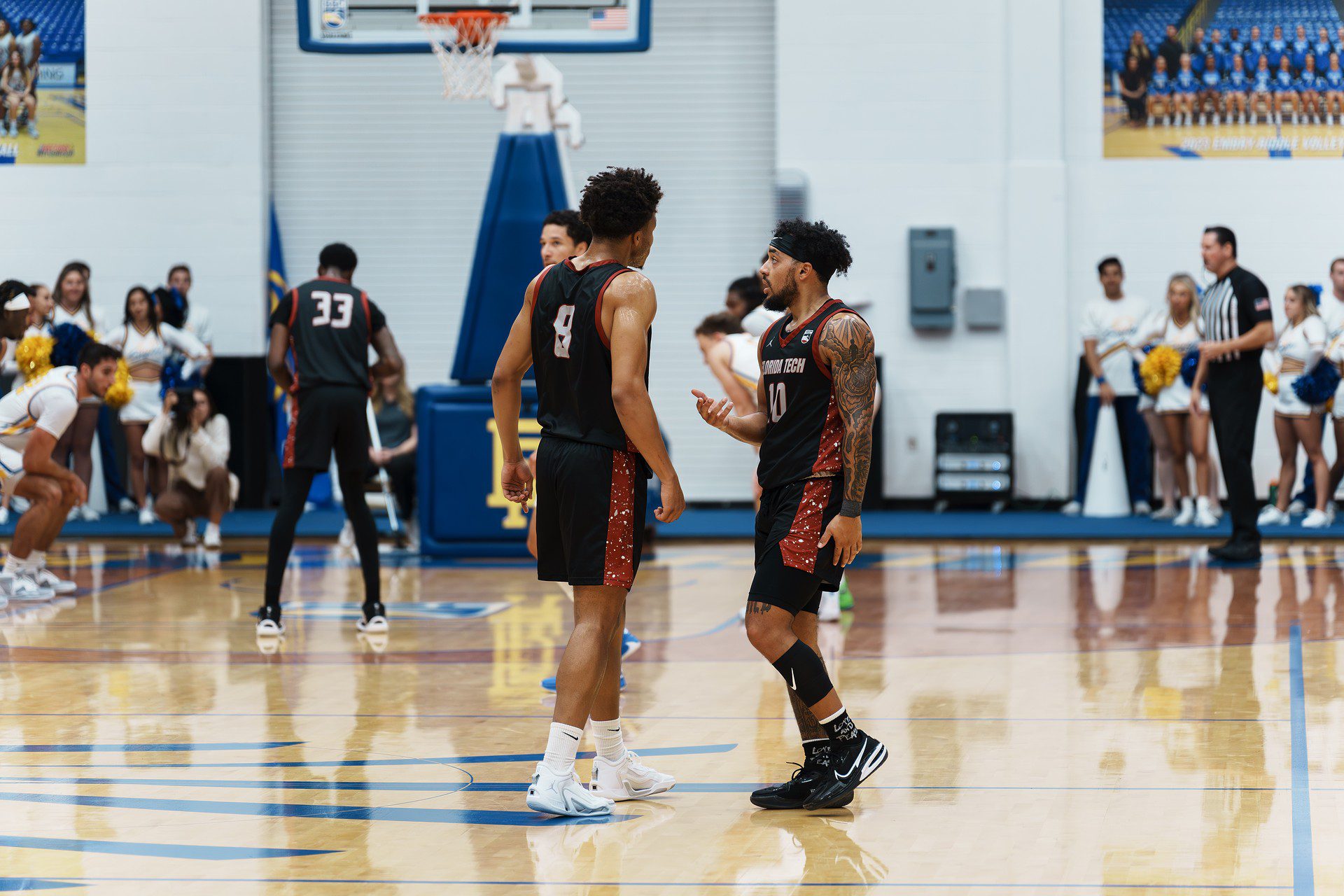 DSC07290-Enhanced-NR.jpg_compressed