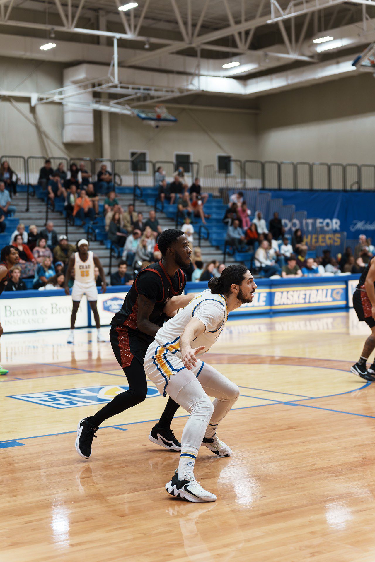 DSC07313-Enhanced-NR.jpg_compressed