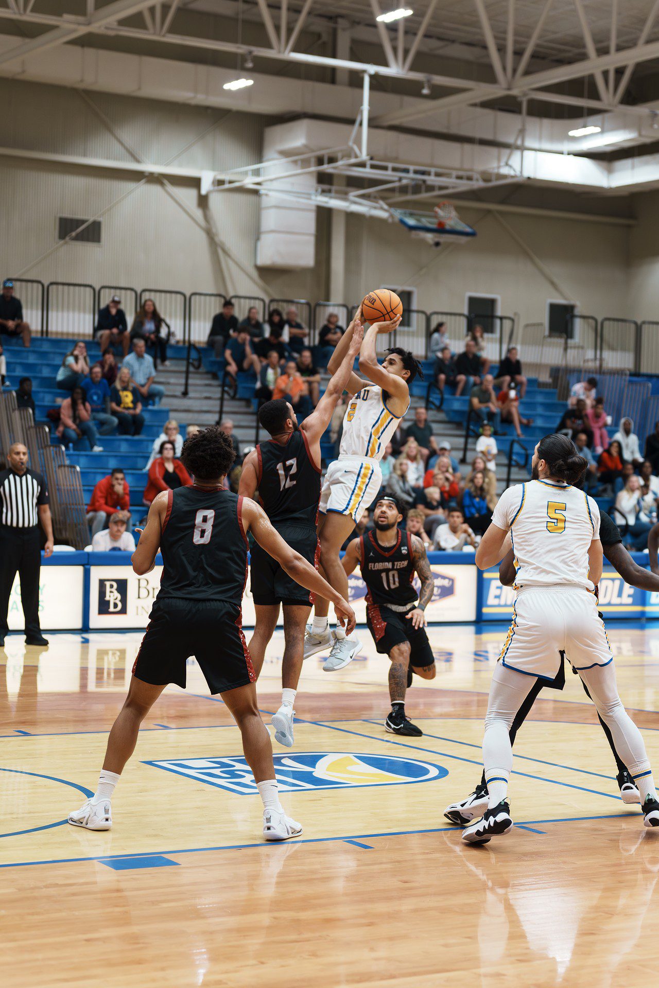 DSC07318-Enhanced-NR.jpg_compressed