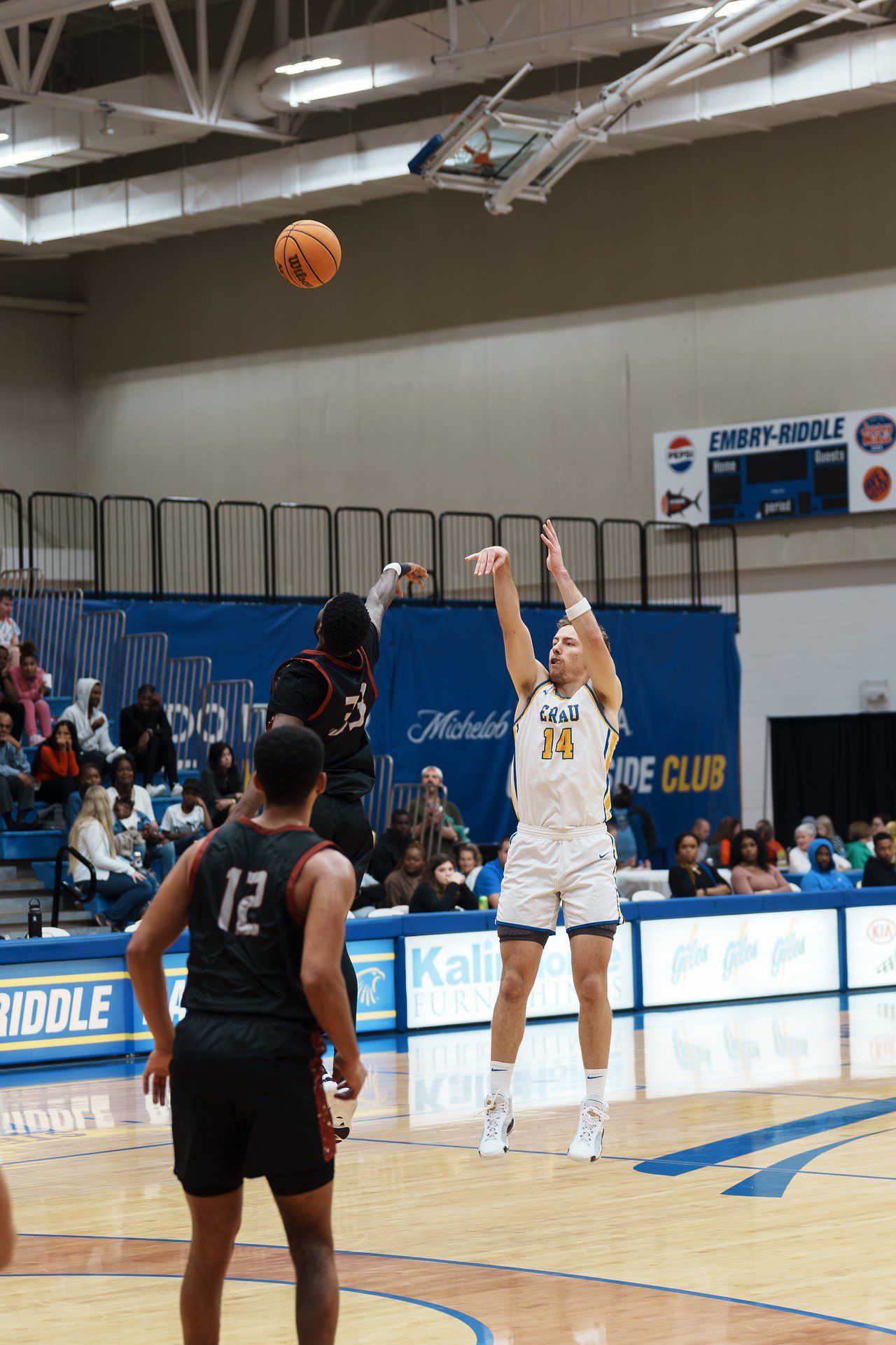 DSC07323-Enhanced-NR.jpg_compressed