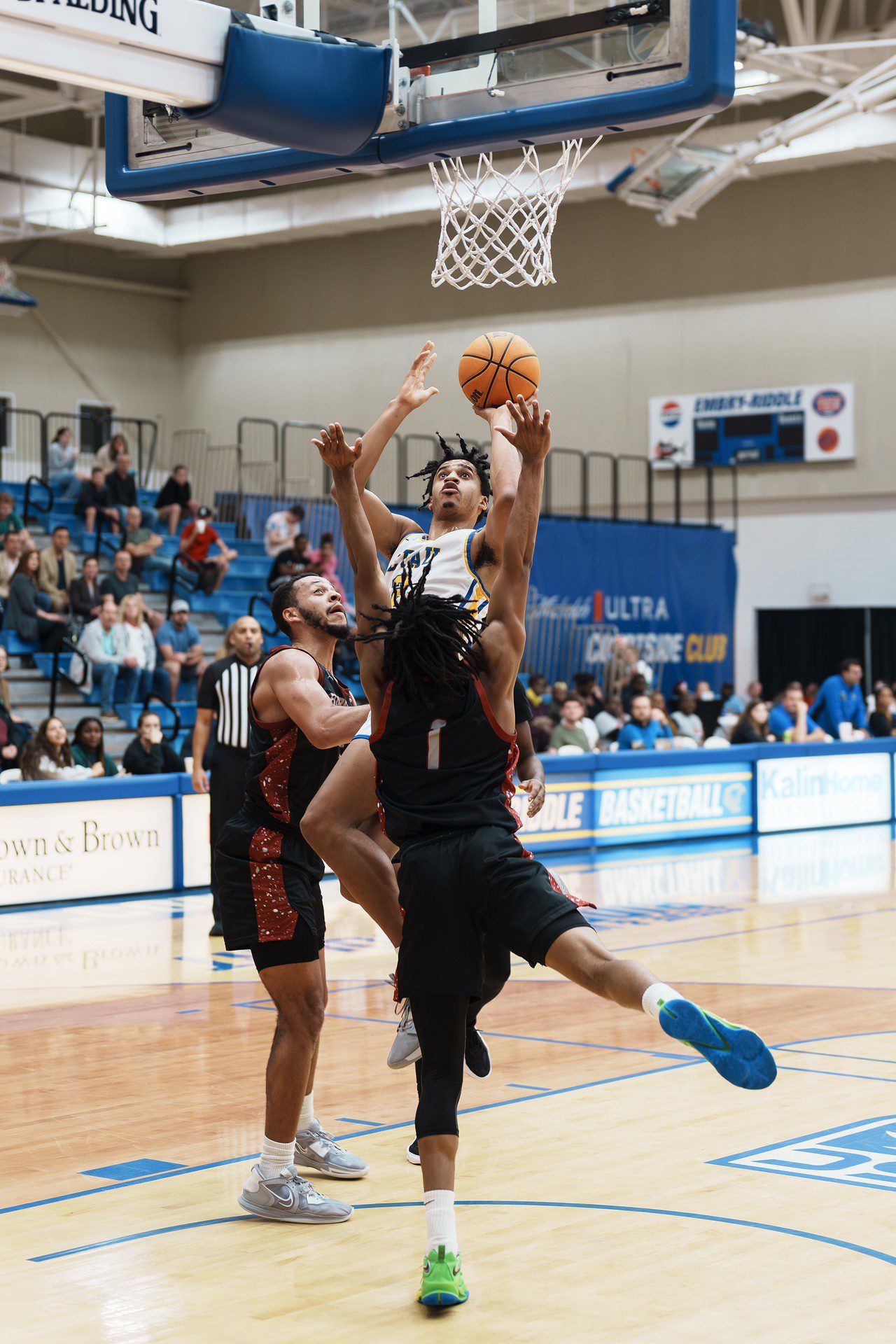 DSC07363-Enhanced-NR.jpg_compressed