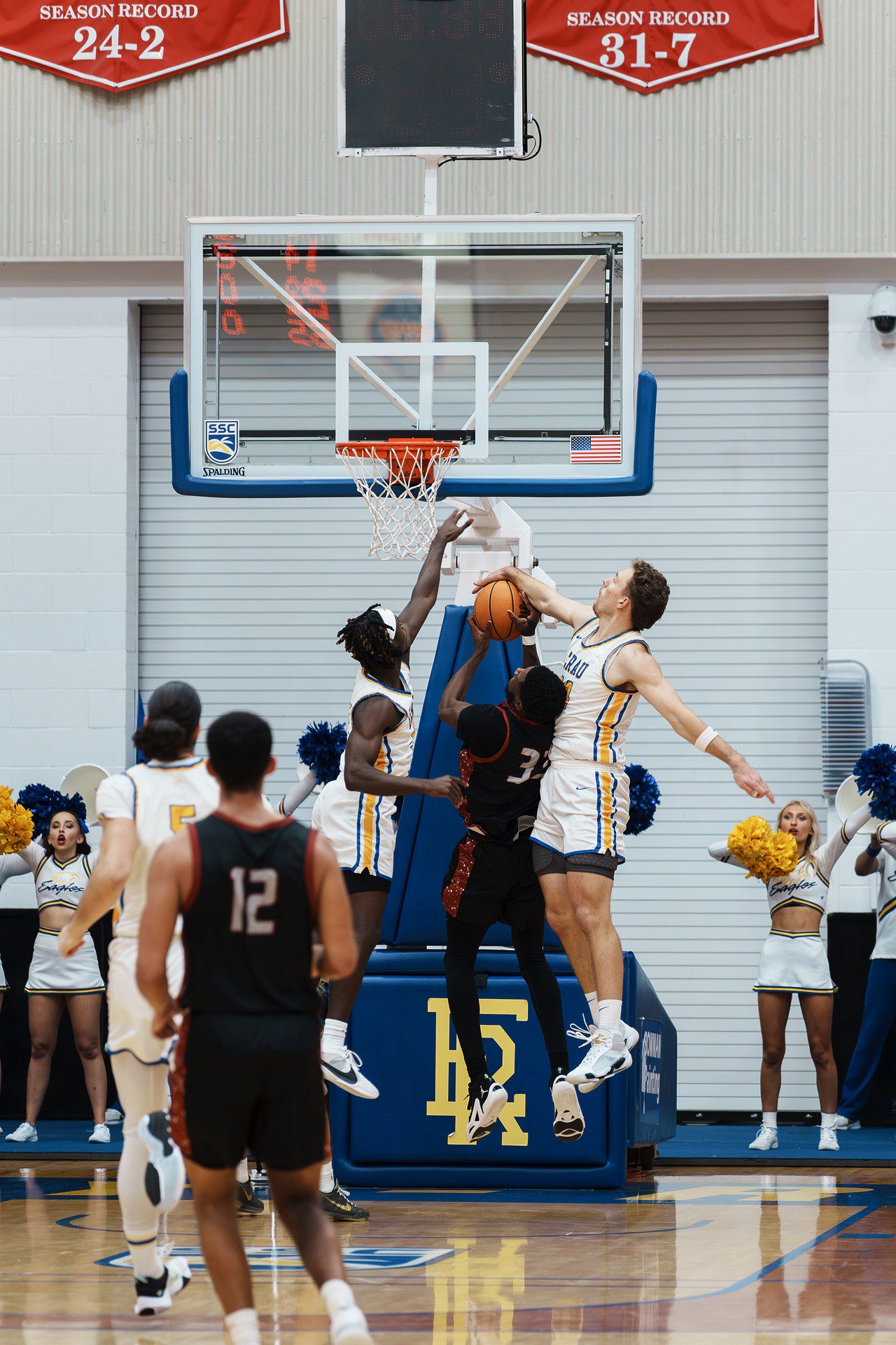 DSC07366-Enhanced-NR.jpg_compressed