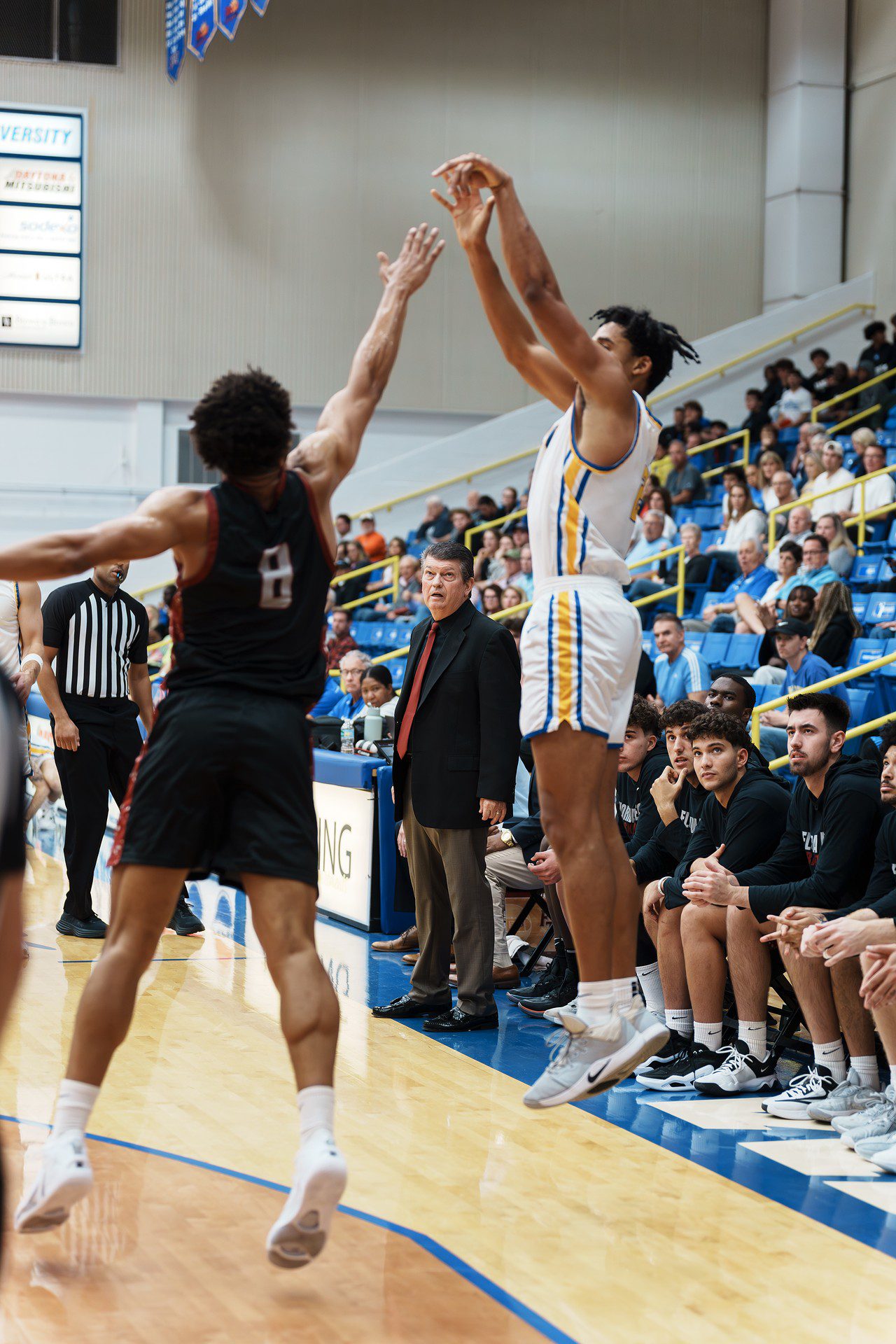 DSC07375-Enhanced-NR.jpg_compressed