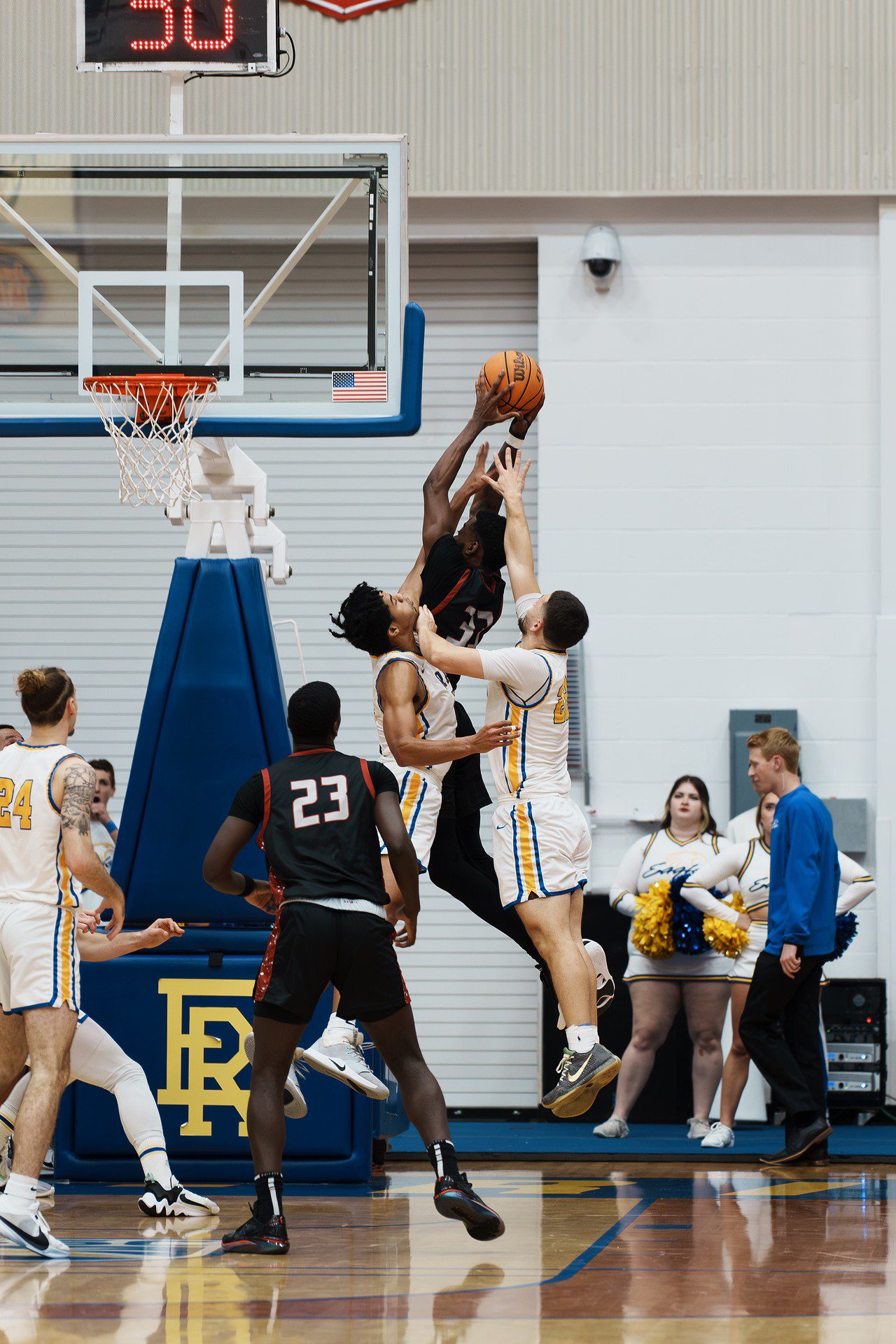 DSC07415-Enhanced-NR.jpg_compressed