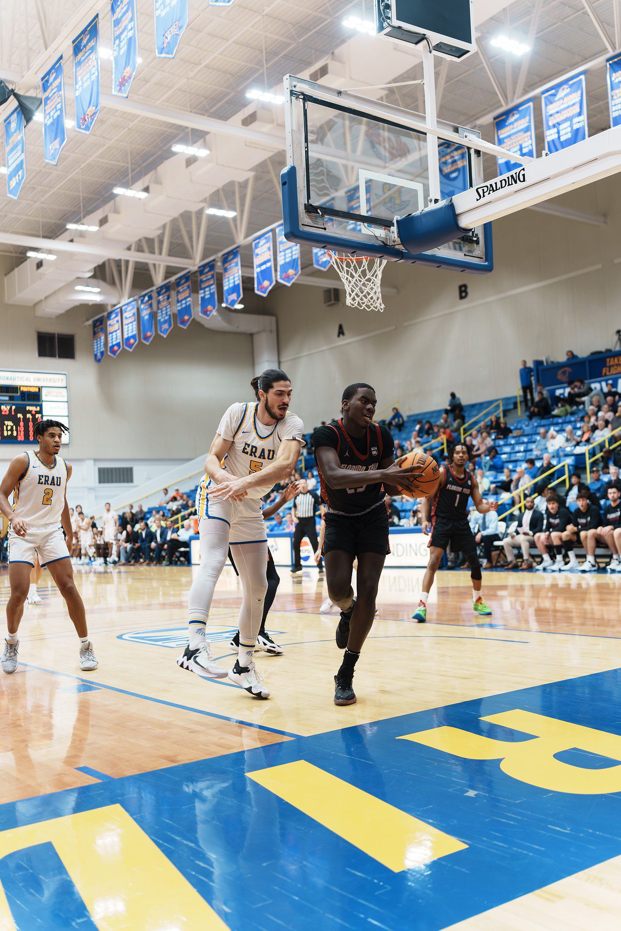 DSC07430-Enhanced-NR.jpg_compressed