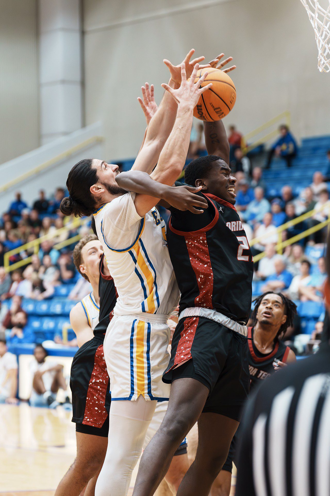 DSC07438-Enhanced-NR.jpg_compressed