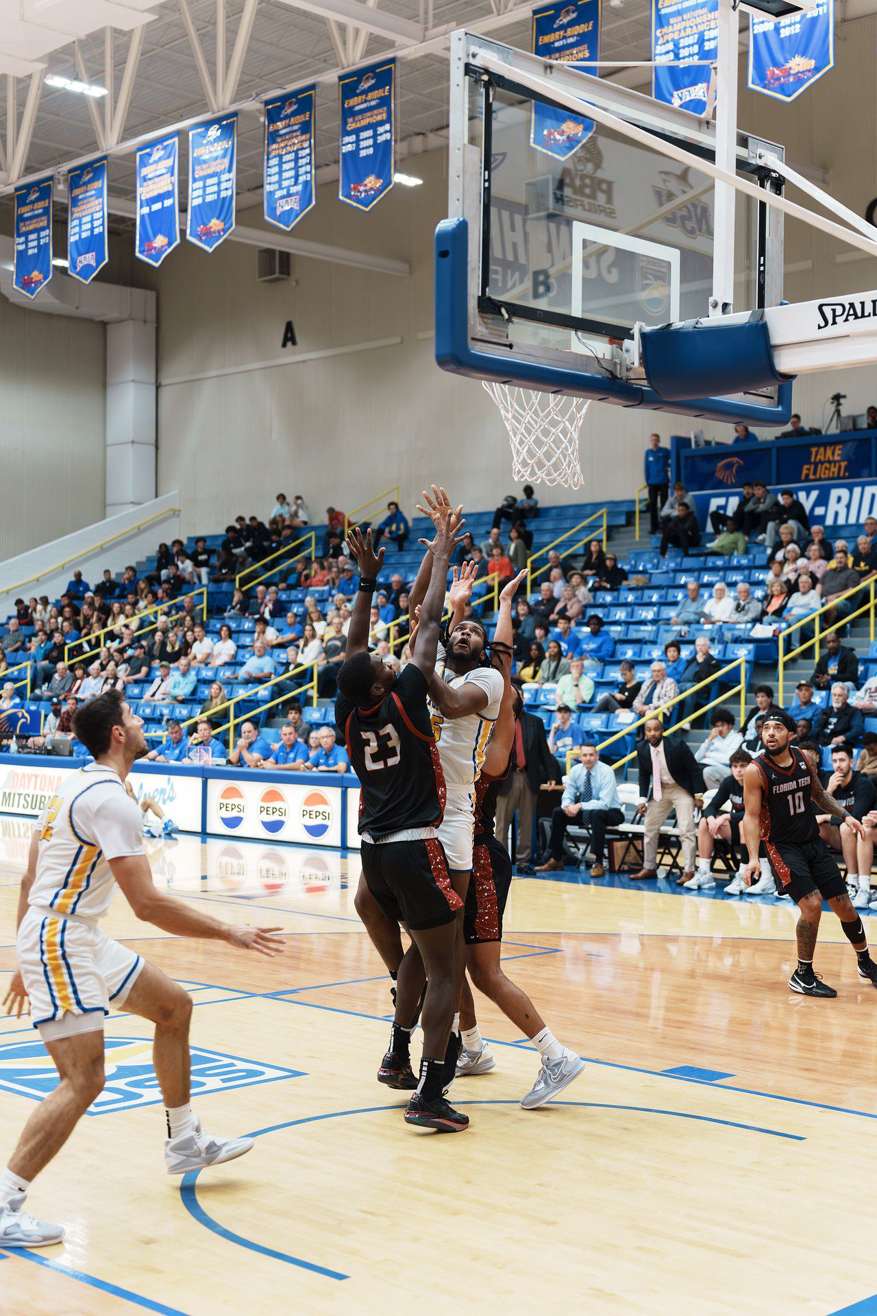 DSC07441-Enhanced-NR.jpg_compressed