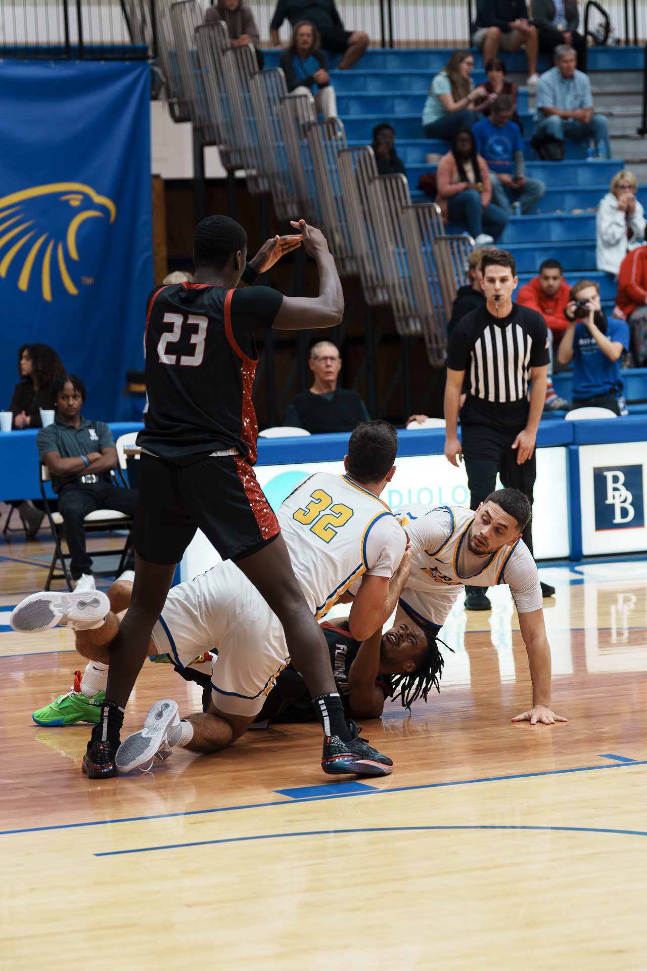 DSC07464-Enhanced-NR.jpg_compressed