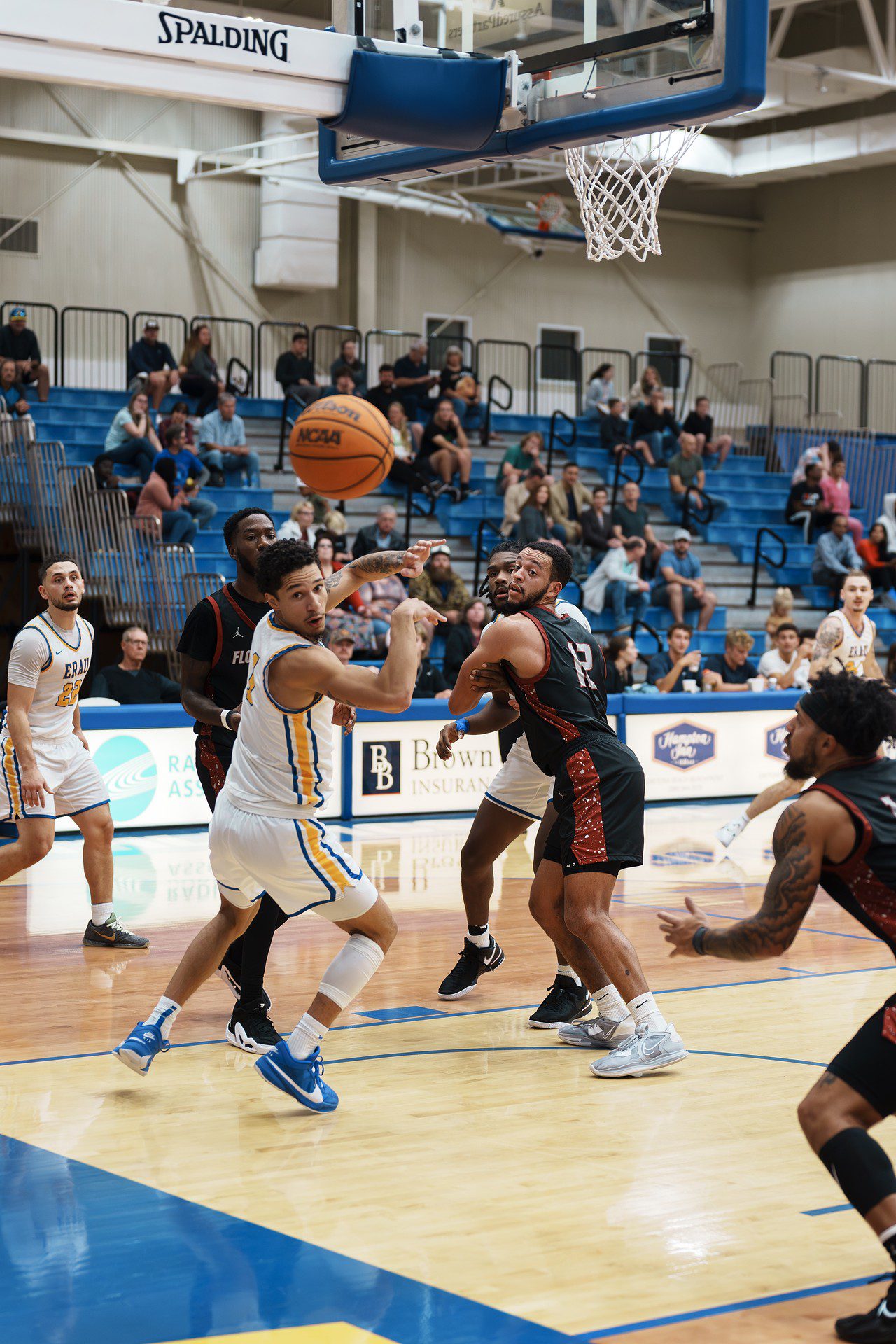 DSC07467-Enhanced-NR.jpg_compressed