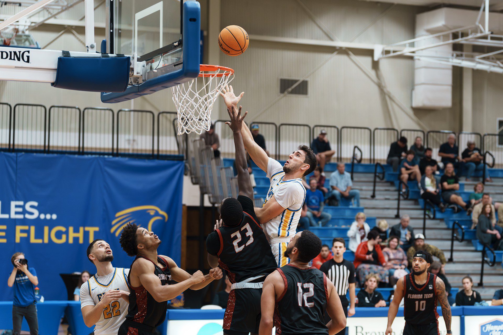 DSC07476-Enhanced-NR.jpg_compressed