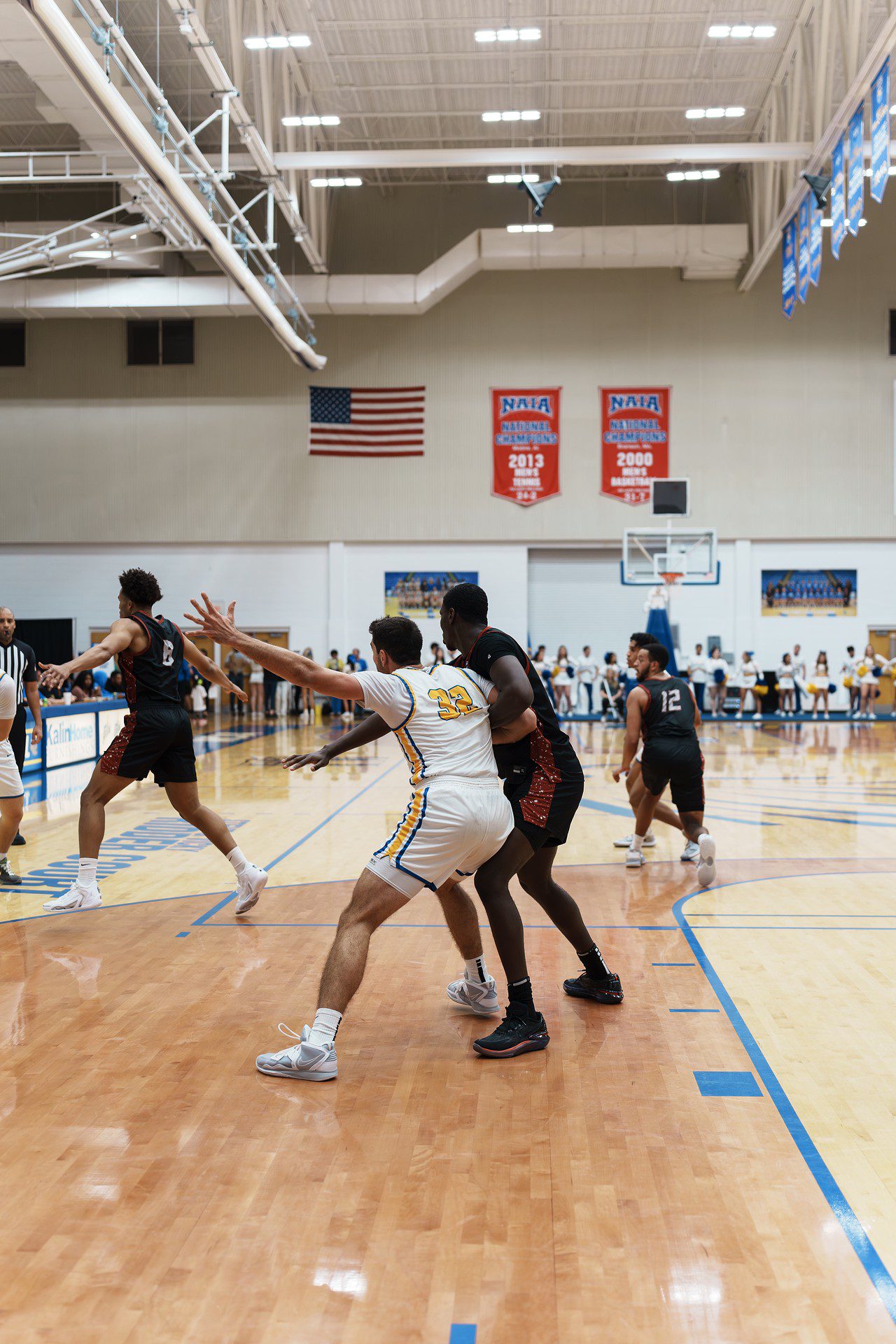 DSC07480-Enhanced-NR.jpg_compressed